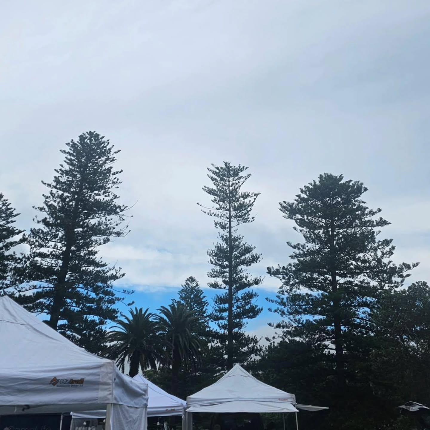 Blue Skies at @palmbeachmarketau today