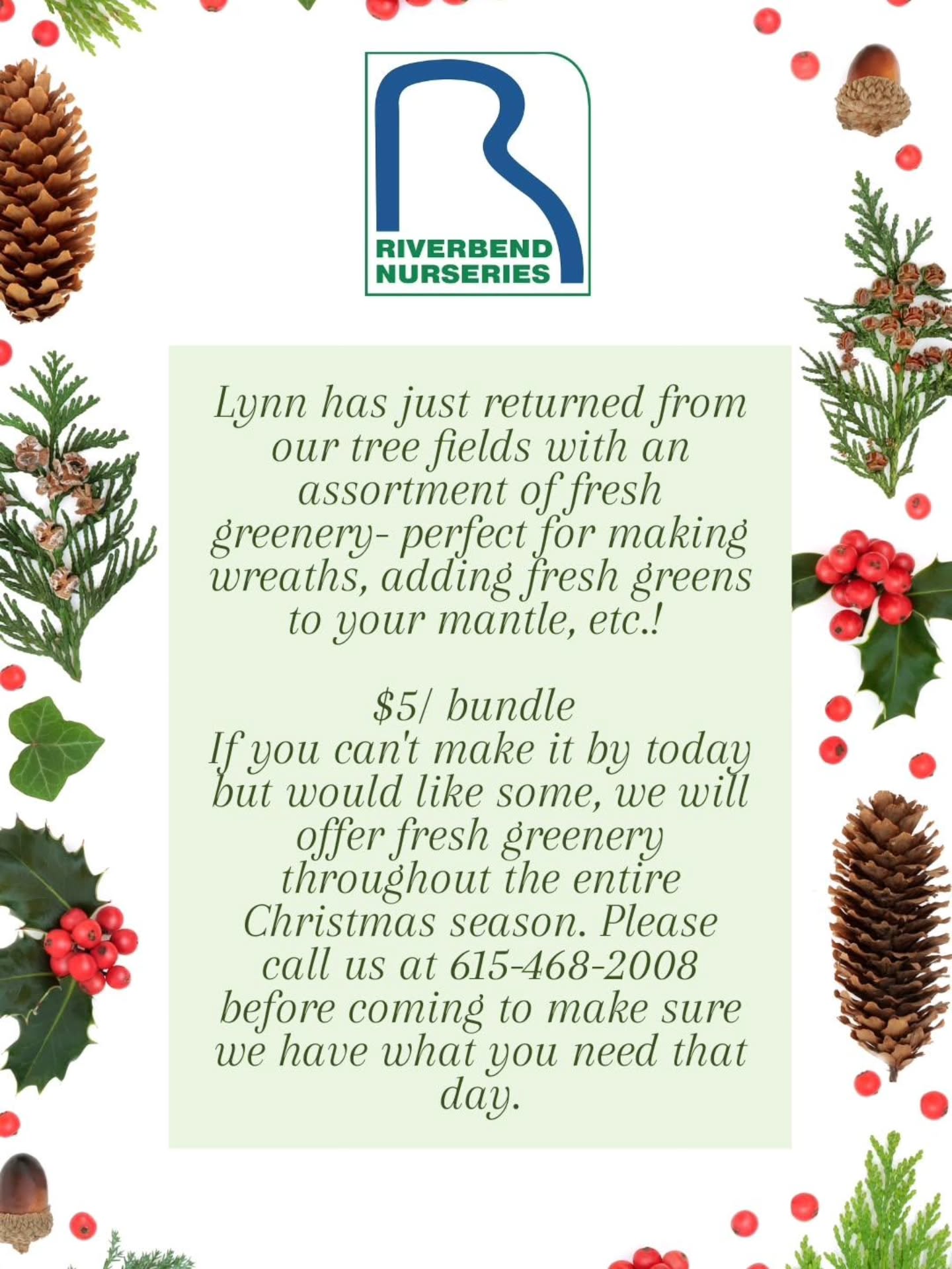 Fresh greenery is $5/bundle! Available this afternoon! 🌿