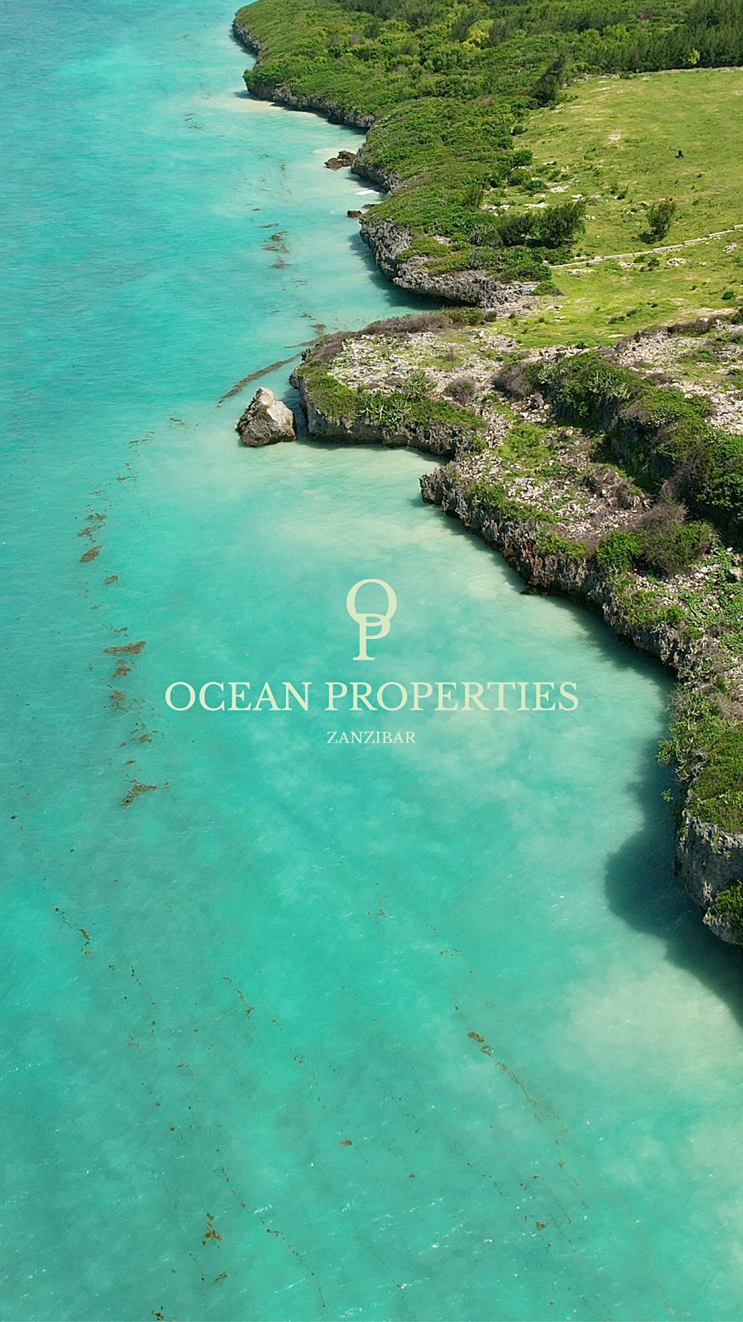 🌊 A new wave begins.
🏝️ Exclusive tropical lands, homes &
investment properties.
🔗 Explore the Collection → Link in Bio