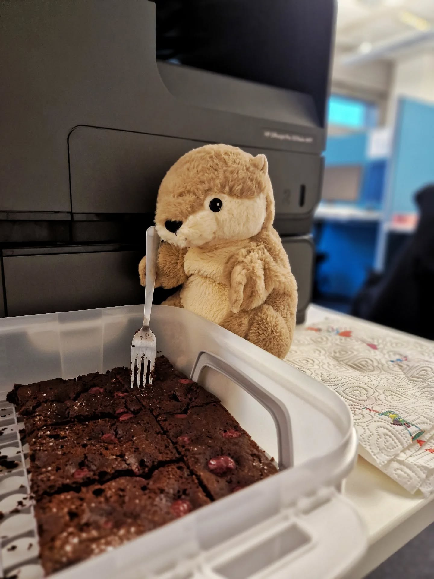 #Brottober ist zwar vorbei, aber @florian_schulz_84 hat unser Team gestern trotzdem wieder verwöhnt – mit selbstgebackenem Schokokuchen mit Sauerkirschen 🍫🍒.
Genau das Richtige für einen turbulenten Wochenstart im Weihnachtsgeschäft, wenn Konzentration und starke Nerven gefragt sind.
Ottilie war zwar nicht an der Küchenfront dabei, aber probiert hat sie natürlich trotzdem. 🦦✨
Welche kleinen Team-Gesten motivieren euch im Arbeitsalltag am meisten?
👇 Wir freuen uns auf eure Antworten!
-
#Teamkultur #OfficeLife #HamburgOffice #Weihnachtsgeschäft #MotivationImAlltag #TeamLiebe #KuchenLiebe #Schokokuchen #Sauerkirschen #Bürosnacks #MitHerzUndVerstand #ElbCom #CommunicationWithHeart #ElbCom #CustomerCare #HanseatischMitHerz #WirSindElbCom #Nahbar #QualitätMitCharakter