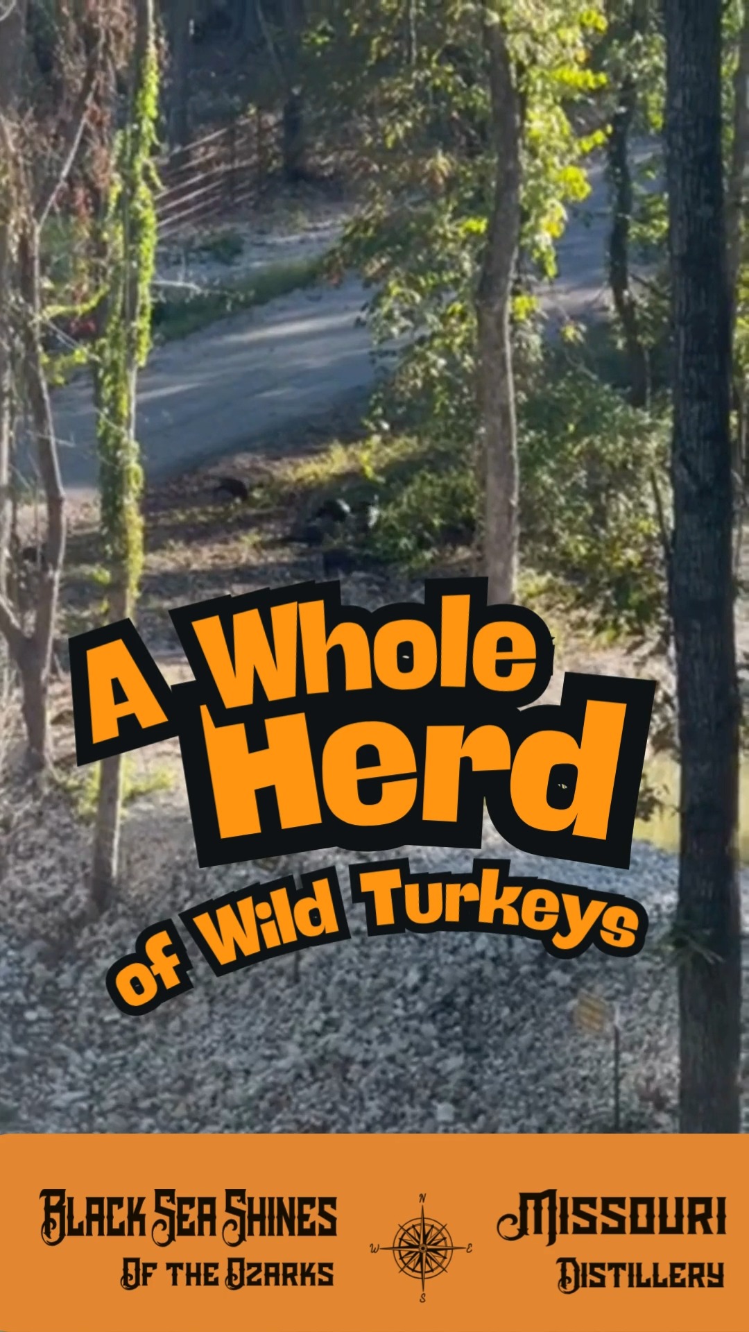 Happy Thanksgiving Y'all...from the porch of Black Sea Shines of the Ozarks!#branson #Missouri #whiskeygram #Whiskeylovers #shines #Thanksgiving #veteransoftheozarks #blackseashinesoftheozarks #missouri #tablerocklake #bransonmissouri #whiskey