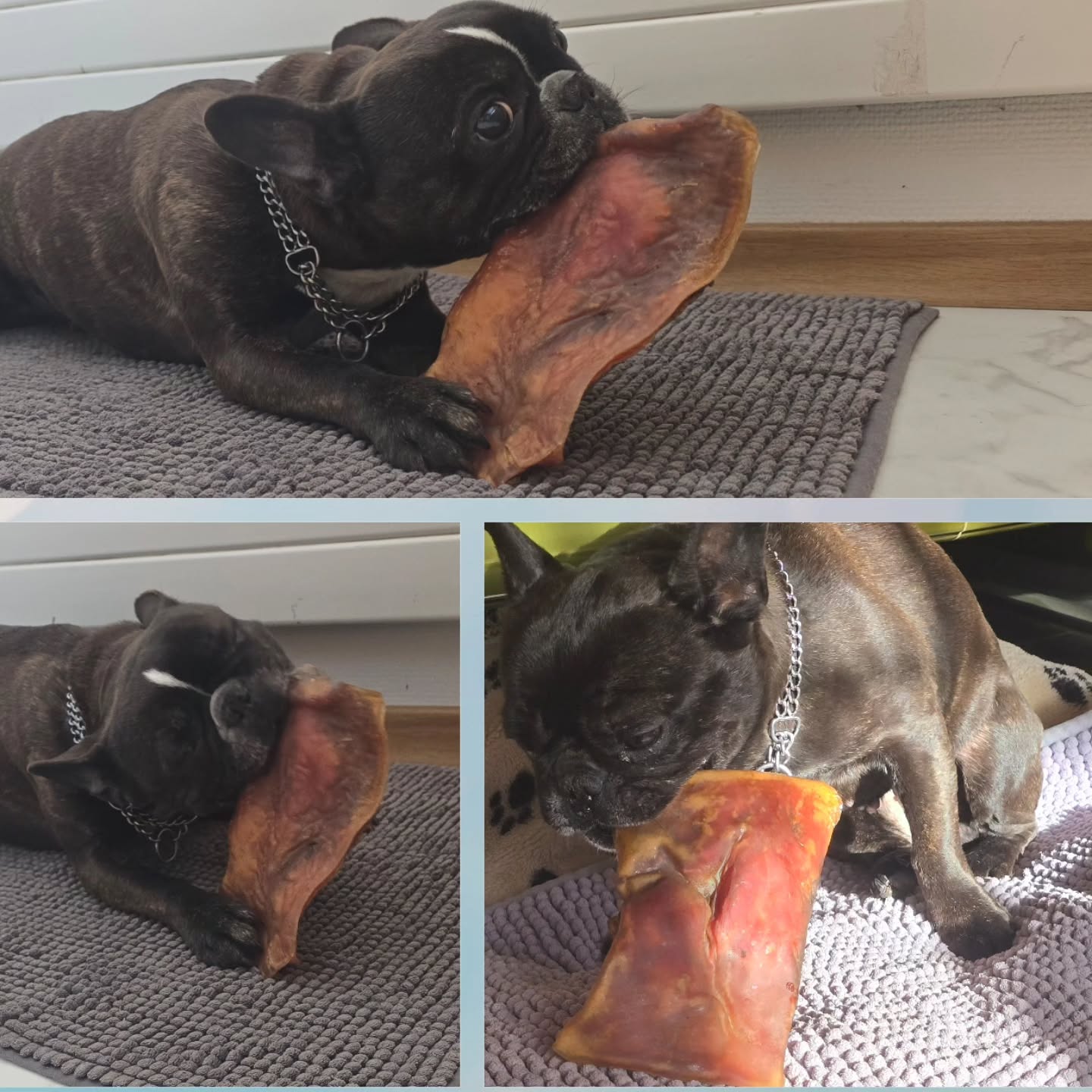 Sonntags-Snack Büffel-Kopfhautplatte🥰✨️🔥