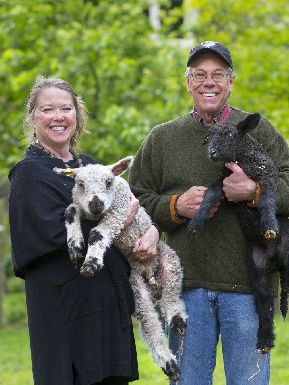 Every purchase from our small family farm — whether it’s wool for your next project or a sheep to grow your own flock — helps keep rare and heritage breeds going strong 🐑✨
When you choose Wensleydale, Teeswater, or Valais Blacknose fiber, you’re not just buying wool, you’re actively helping ensure these breeds have a future. For those of you who’ve taken home any of these sheep and started (or expanded!) your own flocks, you’re carrying these genetics forward, giving these breeds more places to thrive beyond our pastures. That impact is bigger than you know.
In a world that’s “go go go” and favors mass production, choosing to use rare-breed wool, or to raise these sheep yourselves, is a powerful way to keep tradition, biodiversity, and good stewardship alive. Whether this is your first time supporting us this Small Business Saturday or you’ve been part of our farm family for years, we thank you. This is a labor of love, and we’re grateful to share it with people who care just as deeply.
Here’s to growing flocks, preserving rare breeds, and filling the world with purpose-driven wool.
— Nan & Ken 🐑❤️
#smallbusiness #smallbusinesssaturday #whidbeyisland #washington #pnw #farmlife #familyfarm #etsyseller #primaryproducers #woolfarm #sheepfarm #shopsustainable #yarnshop #heritagebreed #rarebreed #shopsmall