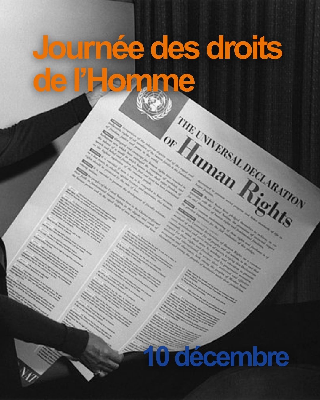 đLa JournĂ©e internationale des droits humains est bien plus quâune commĂ©moration. Elle est un rappel que ces droits ne sont jamais acquis, mais que leur dĂ©fense et promotion doit perdurer.
⥠âLa haine, je dis NON !â tente dâapporter sa pierre Ă lâĂ©difice Ă travers des outils permettant aux jeunes de mieux connaĂźtre ces droits fondamentaux pour mieux les dĂ©fendre. En promouvant une terminologie plus inclusive et en poursuivant cette sensibilisation, nous contribuons Ă bĂątir un monde oĂč chaque individu peut jouir pleinement de sa dignitĂ© et de ses droits, sans distinction ni discrimination.