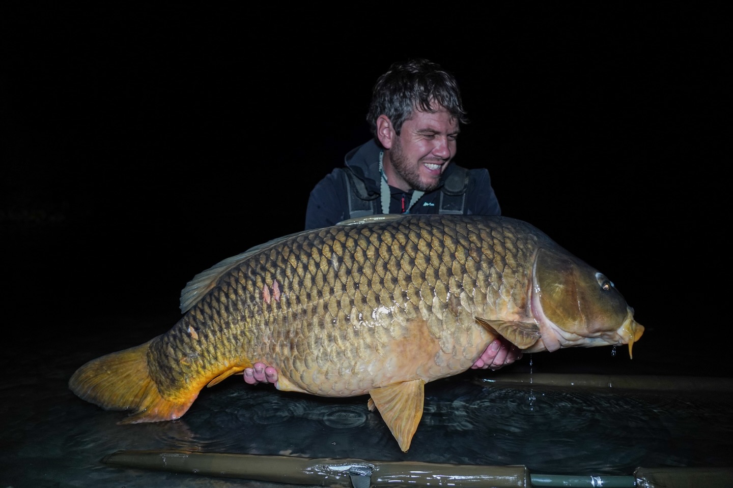 Le résultat d’une petite nuit express sur le ruisseau pour le F et le D !
.
N’oubliez pas, l’ouverture du site internet brakass.com est imminente…
.
.
#carpangler #carpfishing #fisherman #brakass #brakassfishing #fishinglife #carplife #wildlife #naturelovers
