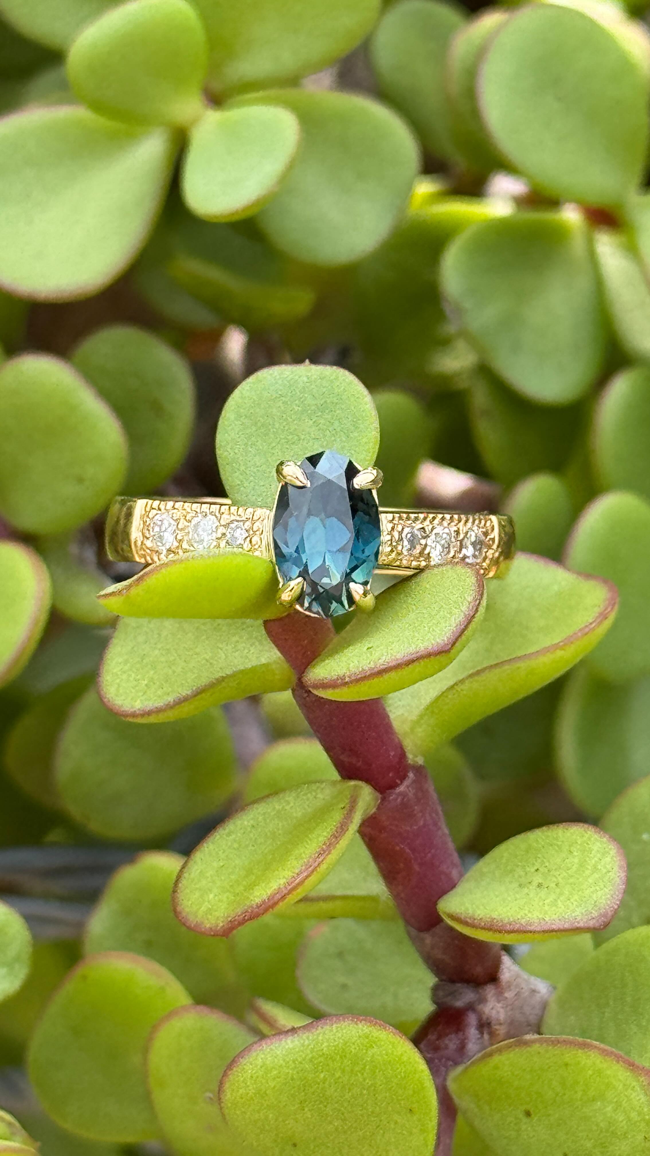 Eileen and Dave’s Custom Engagement Ring
This stunning handmade ring began with our clients falling for a breathtaking natural Australian sapphire, showcasing vibrant electric blue tones. The 1.15ct oval cut centerpiece is perfectly complemented in 18k yellow gold by a classic 4-claw setting, fine milgrain detailing and diamond shoulders that add a touch of elegance.
To view our available Sapphires, Fine hand-made Jewellery and Designs - DM, email sales@thehouseoffacets.com.au or visit our website to book an online or in-studio appointment today.
www.thehouseoffacets.com.au
#australiansapphire #partisapphire #sapphirering #engagementring #bespokering #australiansapphire #jewellerydesigns #australianjeweller #sapphire #australianjewellery #australianjewellerydesigner #sydneyjeweller #melbournejeweller #brisbanejeweller #naturalsapphire #ringsofinstagram #unheatedsapphire #oneofakind #finejewelry #handmadejewellery #customdesign #milgrain #18kgoldjewelry #18kgold #bluesapphire #yellowsapphire #greensapphire #ovalcut #ovalsapphire