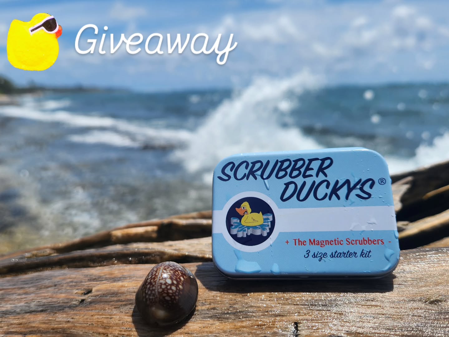 💚 this post and leave an emoji comment for a chance to win 50 dollars at Scrubberduckys.com 💸 Ends 12/7 winner announced in story 🥚