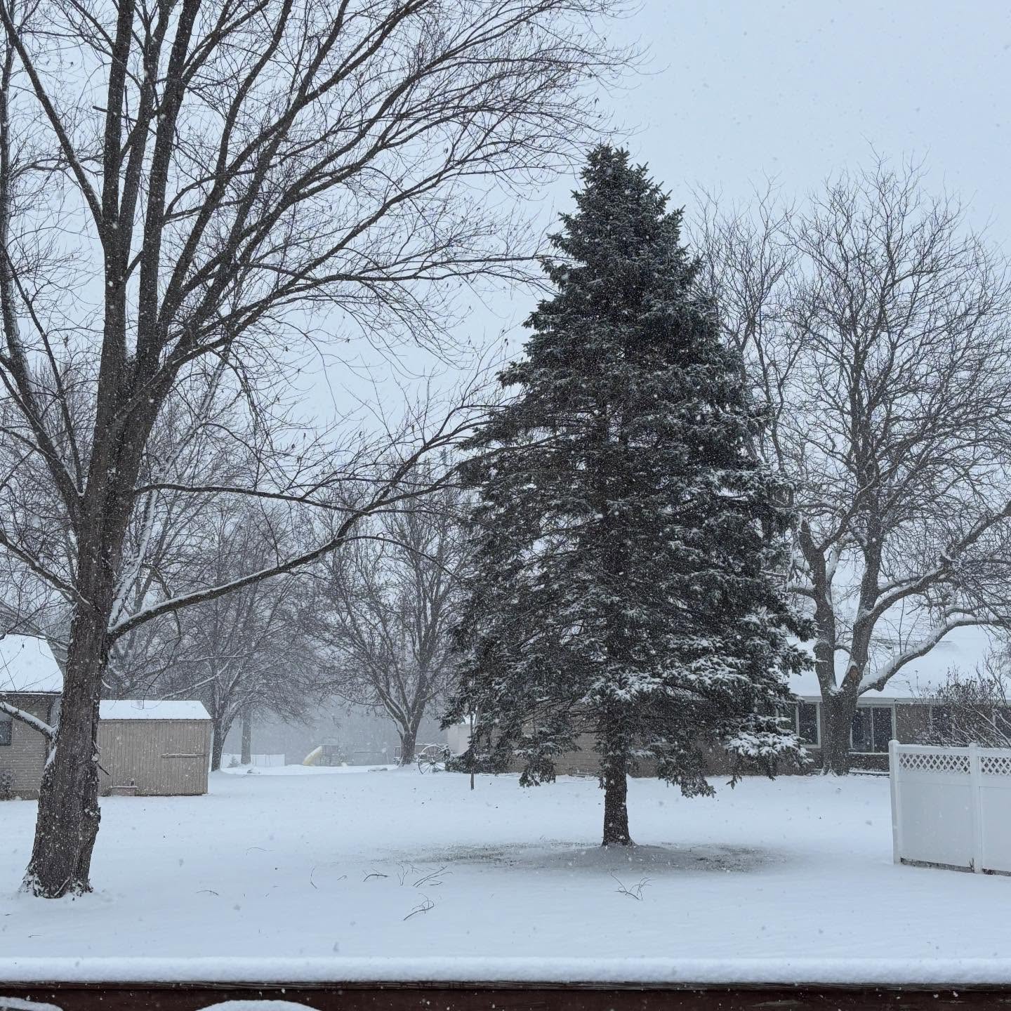 It’s a snow globe today! Great day to stay indoors! #junkismylife #snowglobe