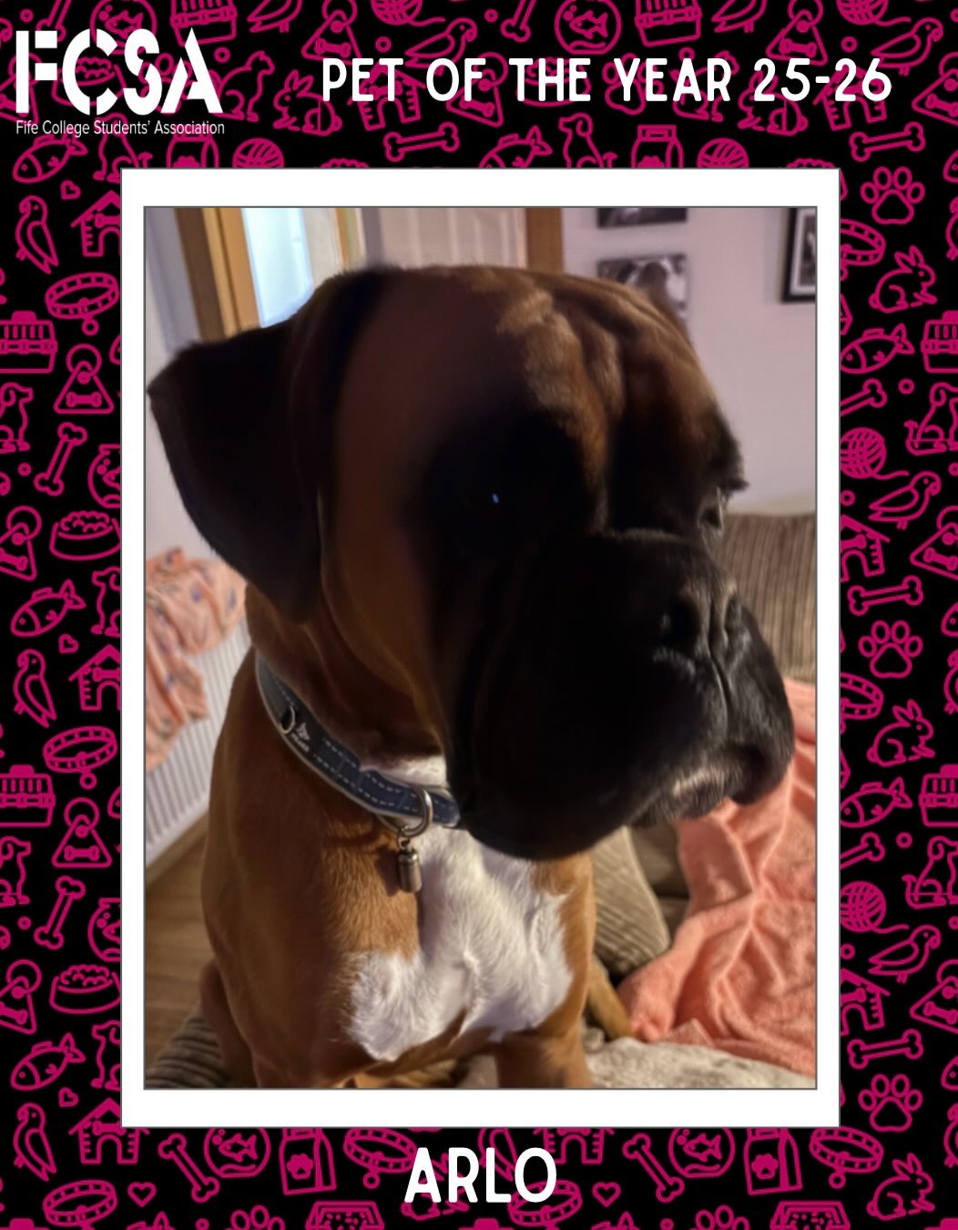 Here are the next ten nominations for pet of the year, tell us your votes in the comments!!🐾. #fcsa #petportrait