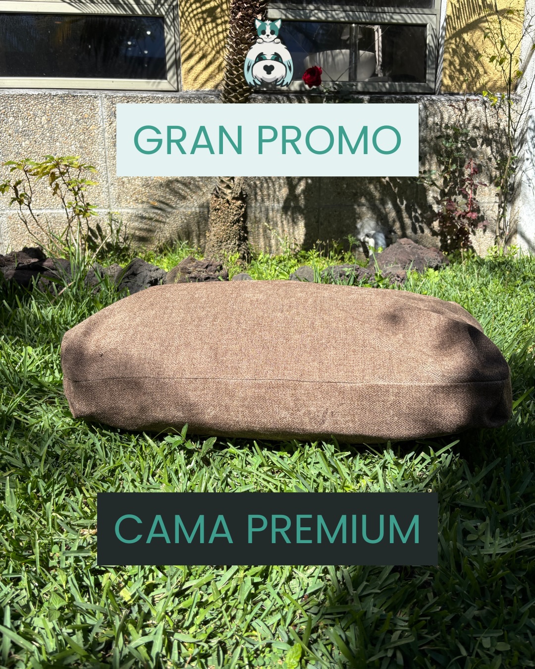 Eleva el descanso de tu perro con las camas Del Mondo Pets 🐶✨
Fabricadas con tela fresca, interior cómodo y un toque de elegancia que transforma cualquier rincón.
Son lavables, duraderas y perfectas para todo tipo de clima.
Comodidad real. Calidad garantizada. Estilo que destaca. 💛