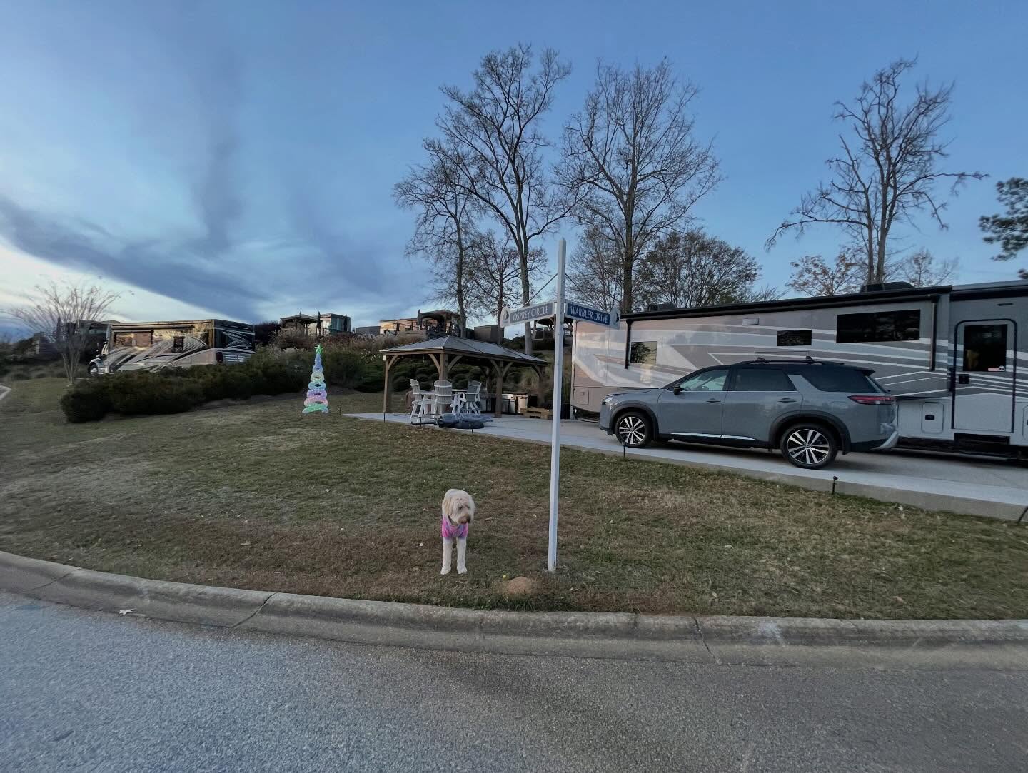 Christmas spirit at the lake. Decorating our lot and RV at Lake Greenwood #christmasspirit #lakelife #holidaysatthelake