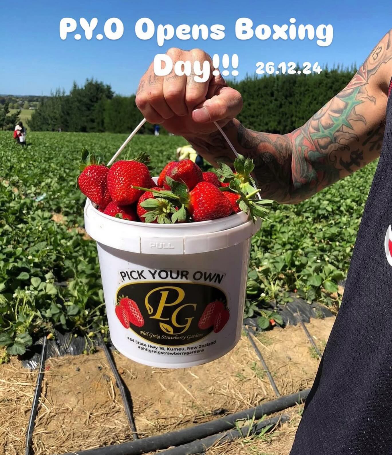 It’s that time of year 🍓🍓🍓
Pick you own strawberries will open on 26th December 2025
9am - 4pm, 7 days a week!
Children under 10 are FREE when accompanied by an adult 😎☀️👒
📍464 state highway 16 Kumeū