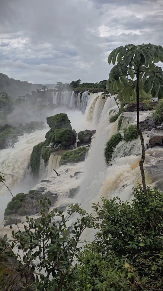 Endless falls.
Mist on my skin.
Butterflies in the spray.
Cicadas loud enough to compete with the water.
Iguazú doesn’t rush you — it surrounds you.
An excellent day, in every sense. 🌿💧
📍 Iguazú Falls, Argentina
Sound on
#IguazuFalls #ArgentinaTravel #VisitArgentina #WaterfallLovers #NatureSounds #CinematicTravel #SouthAmericaTravel #TravelReels #SlowTravel #wonderofnature