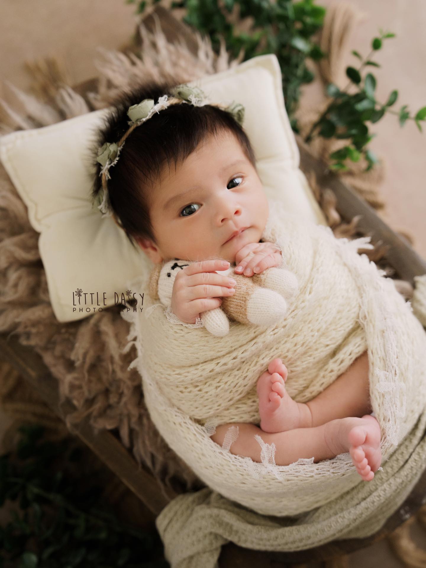 No naps today… just quiet curiosity and the sweetest eye contact 🌿
#sglittledaisyphotography #sgnewborn #sgnewbornphotographer sgnewbornphotography babies newborn newbornsingapore sgmums sgmummyblogger sgbaby sgbabies singaporebabyphotographer babyphotographysingapore singaporenewbornphotograper
singaporenewbornphotography