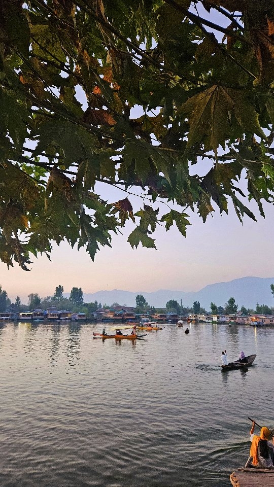 #Kashmir in one minute 💚
#KashmirValley #KashmirTourism #JammuAndKashmir #KashmirBeauty #KashmirLove, and #KashmirLife #HeavenOnEarth #NatureWonders
#MountainsCalling #KashmirScenery