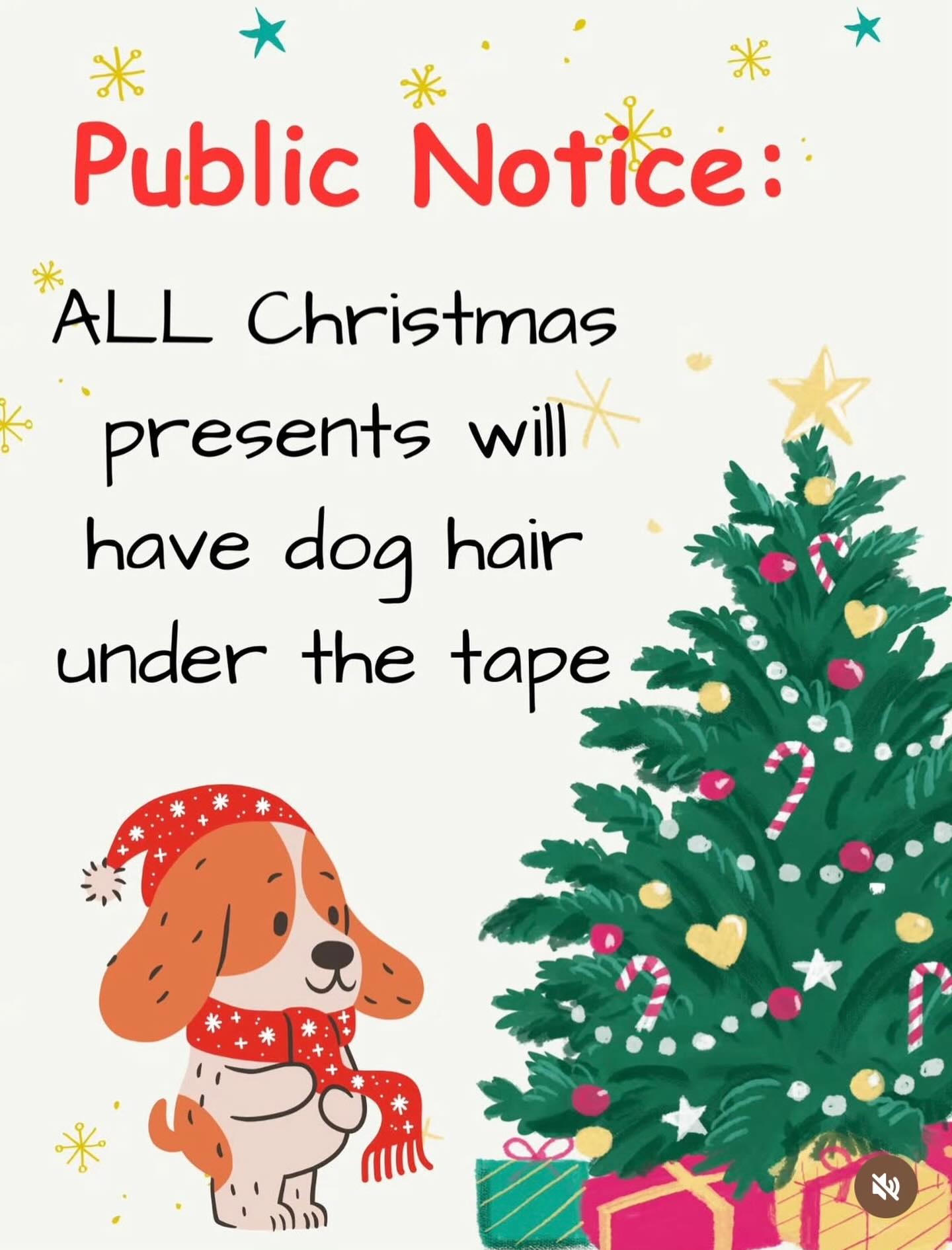 One month to go! Just a reminder that pets can eat presents from under the tree. Avoid wrapping any food they aren’t allowed. Make sure advent calendars are also out of reach! Santa is on the way…
#hohoho
