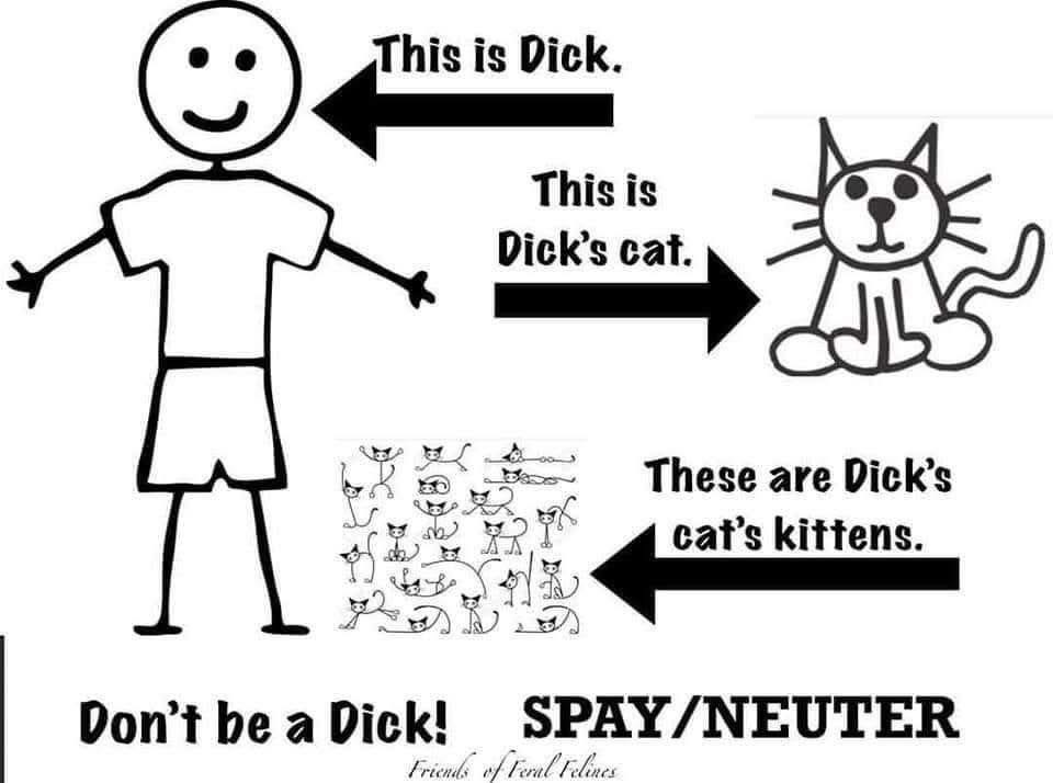 Claro!!
#neutering
#neuteringsaveslives
#spayandneuter
#spayandneuteryourpets