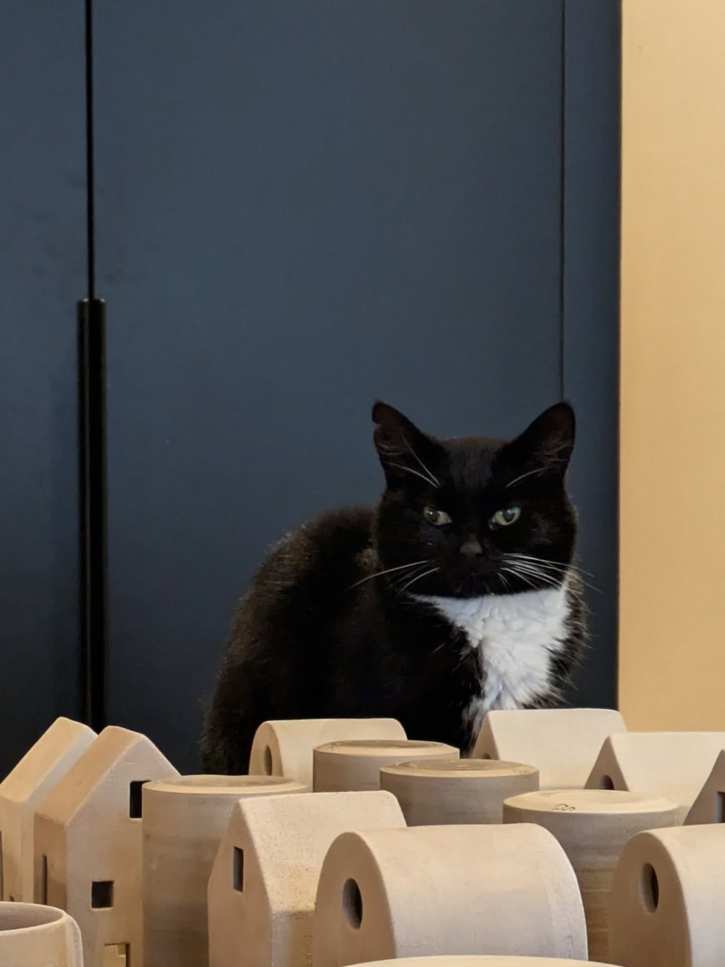 The cold wet weather makes pottery drying so slow especially in my garden studio so my pots make their way into my house to fully dry before firing. There's just about enough space left for Chloe the cat.
