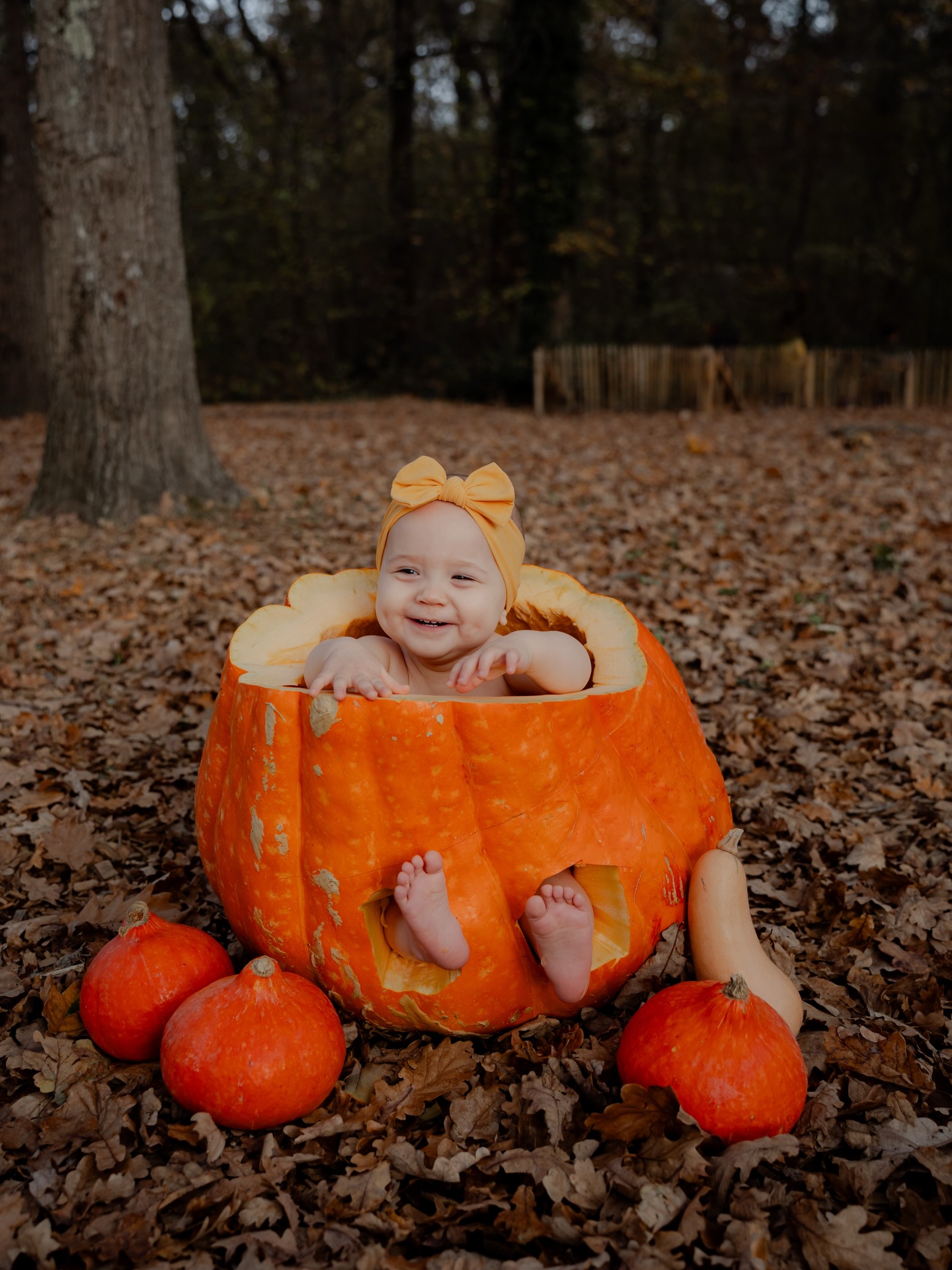 Un an après sa naissance…
et me voilà à remettre cette petite merveille dans… une citrouille de 40 kg. 🎃💛
Ses parents ? Toujours aussi créatifs.
Moi ? Toujours aussi fan de suivre leurs idées complètement barrées.
Et cette petite ? Elle a clairement déjà compris comment voler la vedette devant l’appareil.✨
C’est ça que j’adore dans mon métier :
voir les familles grandir, me confier leurs souvenirs,
et créer des photos qui racontent vraiment leur histoire.
📸 Photographe à Tarbes, spécialisée dans les séances colorées, fun et qui sortent du cadre — même quand le cadre est une citrouille géante.
👉 Toi aussi tu veux des photos d’anniversaire qui sortent du cliché “fond blanc + ballon doré” ?
Écris-moi et on crée quelque chose d’unique pour ton mini-humain.