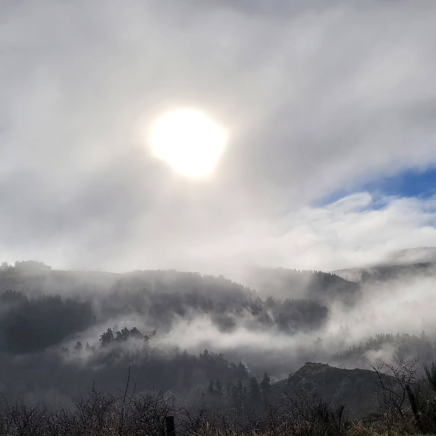 En quête de lumière...
#ilyatoujoursdusoleilderrièrelesnuages #laretrouvade #sortiesnatures #pnrmontsdardeche #mezencloiremeygal #montagneardeche