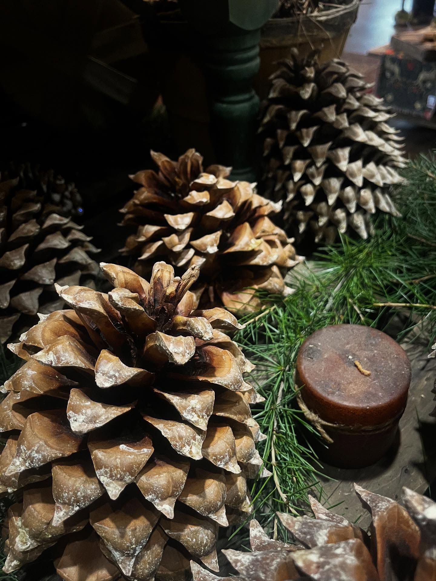 🎄If you're pine-ing for unique Christmas decor, swing by Groff's ☀️ Check out our Christmas spirit and maybe a few holiday gifts while you're at it! 🎁
#pitmannj #glassboronj #pinecones #holidayhome #holidaydecor #shoplocal #smallbusiness
