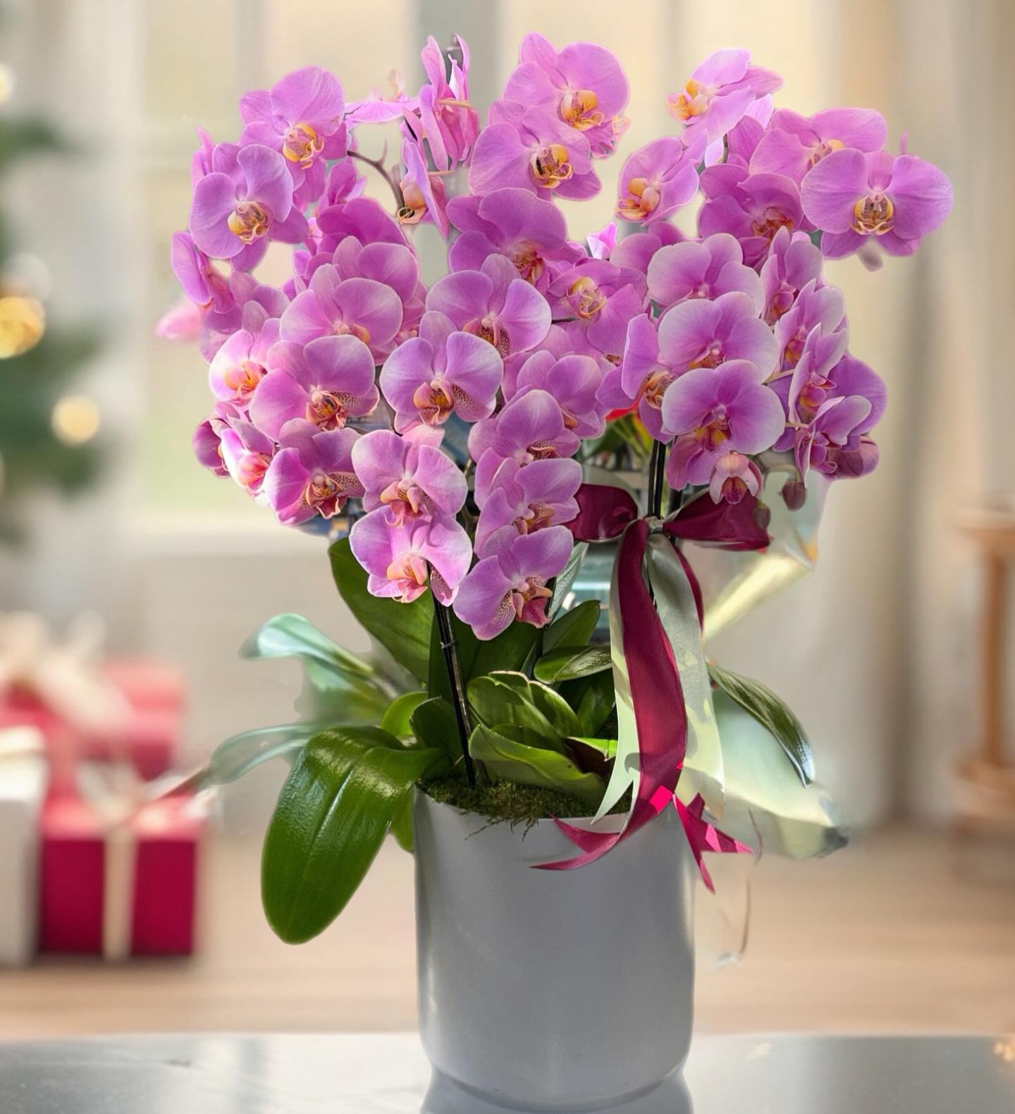 “Some gifts fade. Others grow. 🌿✨🎄🤍 #LuxuryGifts #GiftsThatGrow #christmas #christmastime #christmassgiftideas