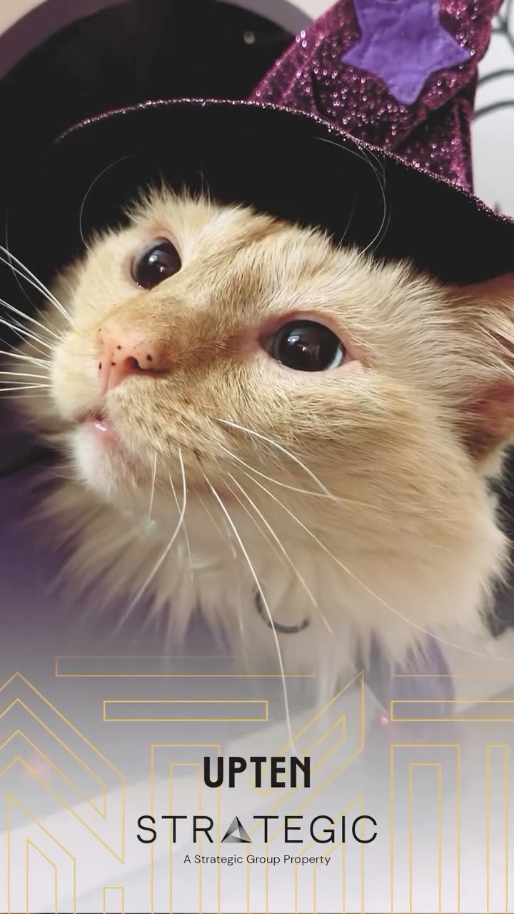 Thank you to everyone who calls Upten home. You shape the mood here. You make the hallways friendlier, the events livelier, and the community feel real.
Your presence matters, and we notice.
Grateful for this season and the people who made it.
On to winter.
#upten #calgaryliving #beltline #communityfirst #fallrecap #livethelifestyle