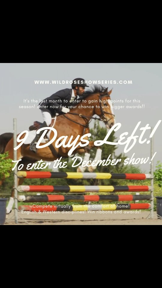 ⏰ Only 9 Days Left to Enter the December Show! ⏰
Don’t miss out — entries and videos must be submitted by December 31st to be included in the December show.
⭐ This is also the LAST month to earn High-Points for the season! ⭐
Every class counts toward your chance to win our bigger High-Point awards, so now is the time to get those final entries in.
🎉 Enter now and finish the season strong! 🎉