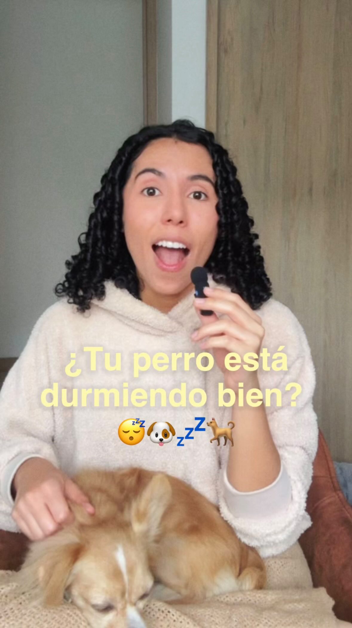 Nuestros perrunitos no duermen como nosotras 💤🐶
Su sueño es muuucho más ligero,
y la etapa de descanso más profunda (la que repara) dura muy poquito.
Por eso se despiertan varias veces, cambian de posición…
o hasta caminan de un lugar a otro en la noche. Y es totalmente normal! ✨
Si luego se vuelve a acostar y logra descansar, no tienes de qué preocuparte 💛
🌙 Para ayudarle a dormir mejor, asegúrate de esto:
🛏️ Que su camita esté en un lugar oscuro
🚪 Alejada de puertas, ventanas y ruidos
🌡️ Y con temperatura cómoda (ni mucho frío ni mucho calor)
Son detallitos que hacen la diferencia 🐾
Compártelo com otra mamá perruna a la que le pueda ser útil la info! ❤️🥰