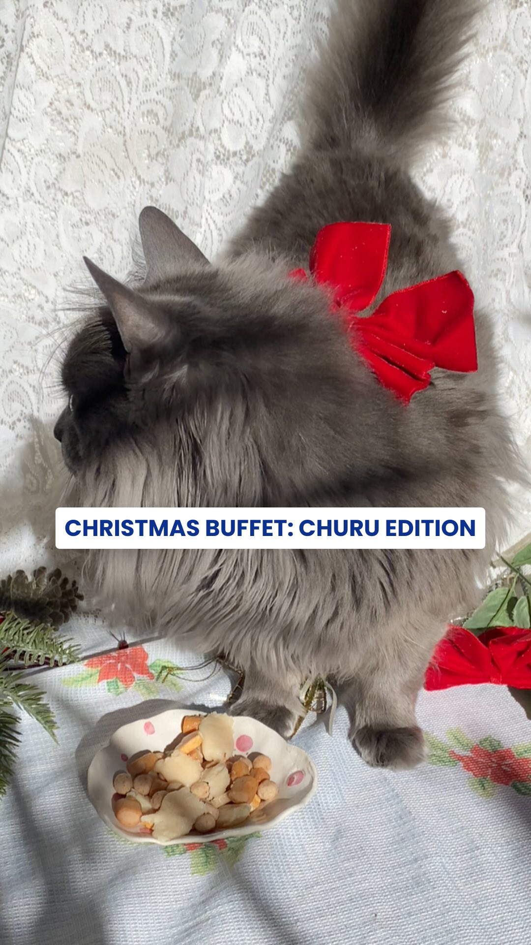 🎄🐾 Your reminder to spoil your cat this Christmas...
With their very own Churu Christmas Buffet.
Juicy Bites, Purée, Pops and Sprinkles, all served!
#ChuruChristmas #CatmasBuffet #SpoilThatCat #FelineFestivities