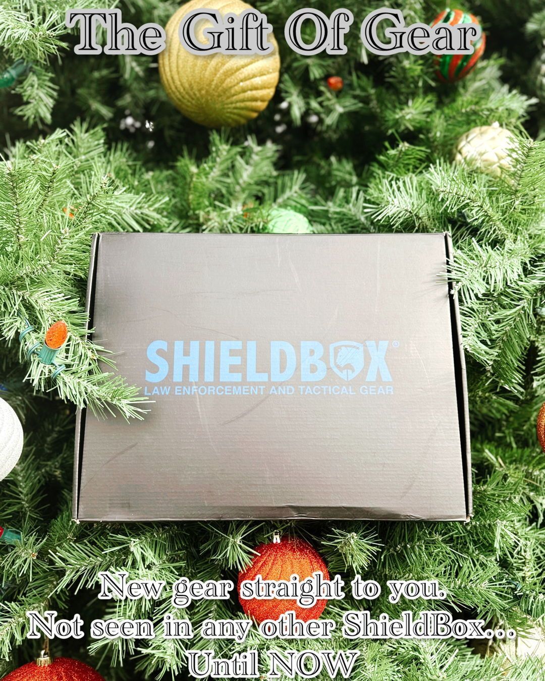 Spread the Holiday Gear! 🎁