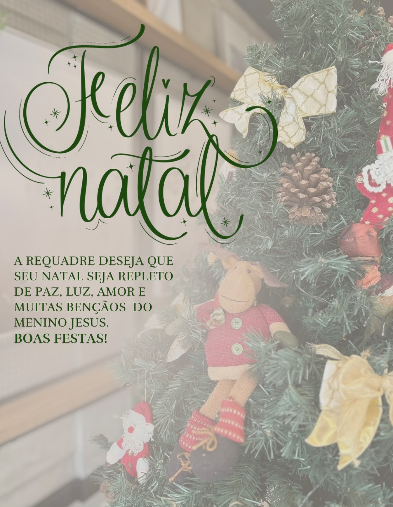 Nossa equipe dessa um lindo Natal a todos 🎅🏼🎄