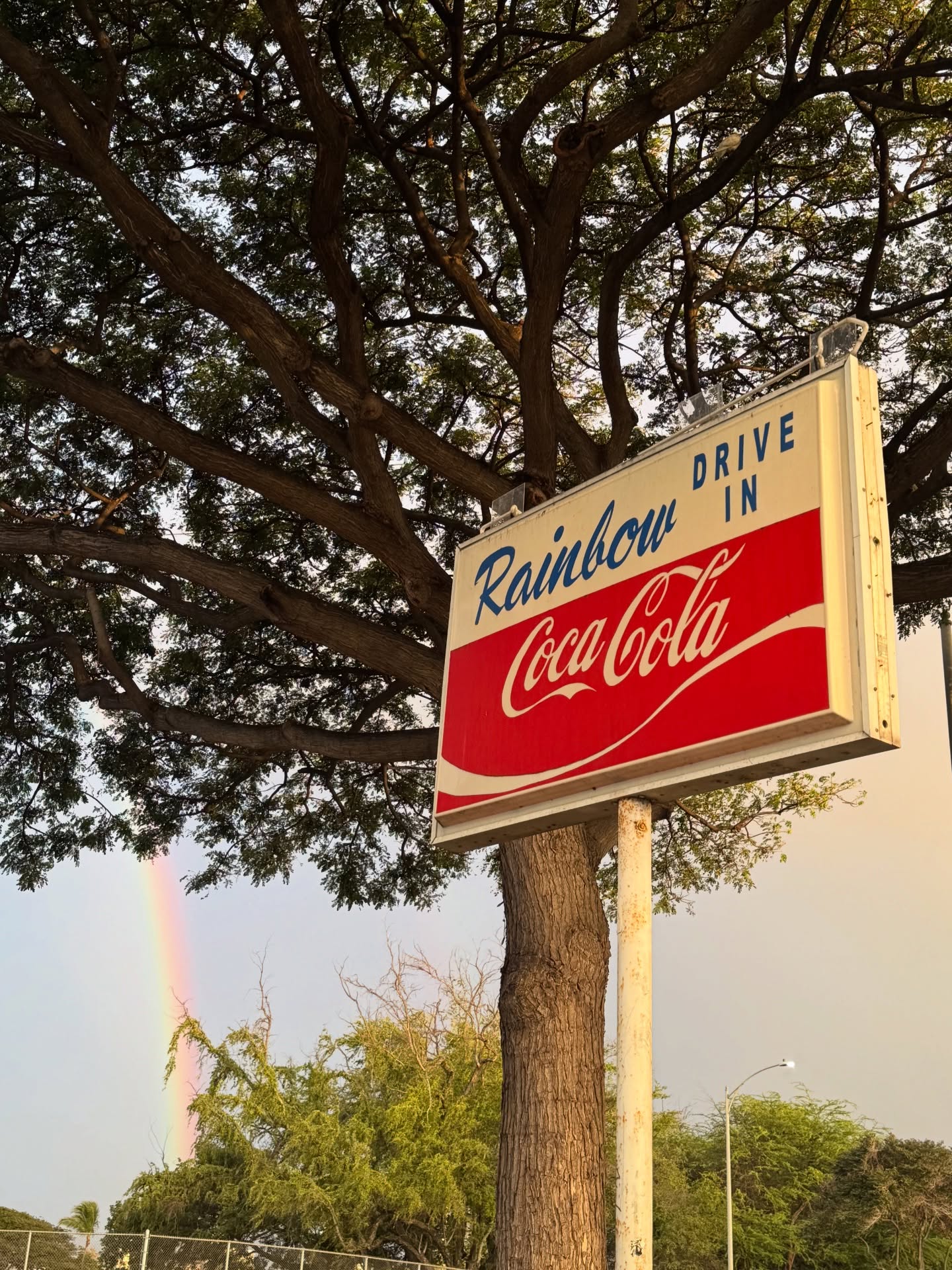 Weโre heading into the holiday with full hearts and tummies ๐งก
Happy Thanksgiving from all of us at Rainbow Drive-In ๐ Mahalo for being part of our สปohana โค๏ธ