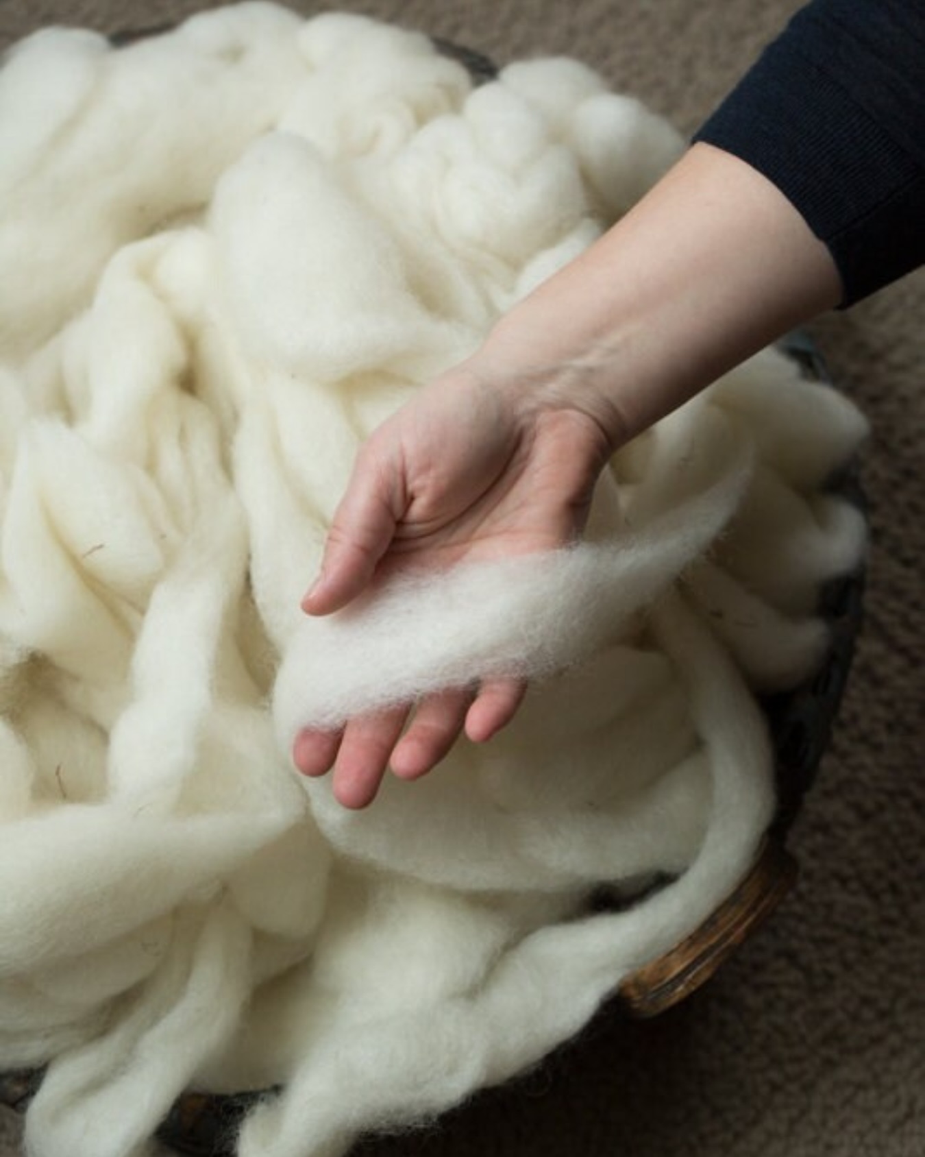 Give & give back this holiday season by using rare breed wool 🐑🎁
By choosing rare wool for your next project, you’re not just crafting something beautiful, you’re also helping preserve heritage breeds, like the Teeswater, through the Livestock Conservancy’s Shave ‘Em to Save ‘Em Initiative. Each Teeswater skein, fleece, & roving in our shop counts toward your SE2SE passport, rewarding fiber artists for working with wool from endangered breeds and helping farmers keep them thriving.
This holiday season, give double the love: something handmade with intention, and a gift that helps protect the future of a truly remarkable breed 🐑✨
#endangeredspecies #shaveemtosaveem #se2se #teeswater #teeswaterwool #lastminutegifts #giftideas #homemadegift #giveback #livestockconservancy #rarebreed #heritagebreed