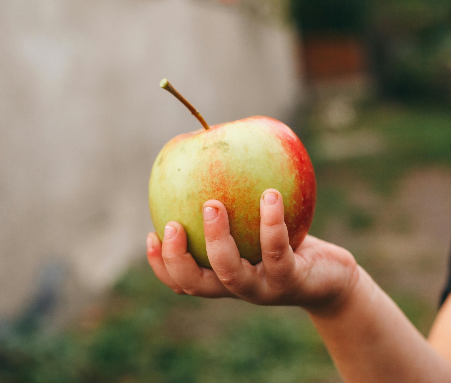 Too many of our Hawaiʻi families are going hungry. 💔 The latest Food Insecurity Report shows that 32% of households in Hawaiʻi were food insecure last year and 34% of our keiki experienced food insecurity, up from 29% in 2023. Families with children are facing increasing hardship, even before recent cuts to SNAP and other supports.
The Honolulu Charter Commission is now considering Proposal P119: Create a Food Security Fund, which would dedicate consistent funding to programs that make sure our community has enough healthy food to live active, thriving lives. 🌱
✨ Here’s how you can kōkua:
Submit written testimony in support of the Food Security Fund by December 9, 2025. You can find the link in our stories. Every voice matters for our ʻohana. 💚
#EatPono #NourishOurOhana #FoodSecurity #Hawaii