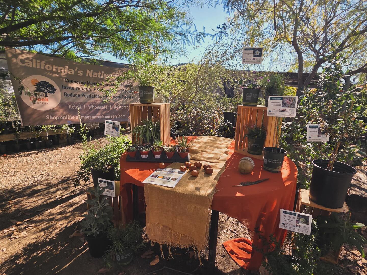 โSad to see them go but their legacy will always remainโ Thank you for all you have done for California native plants! ๐ฑ
