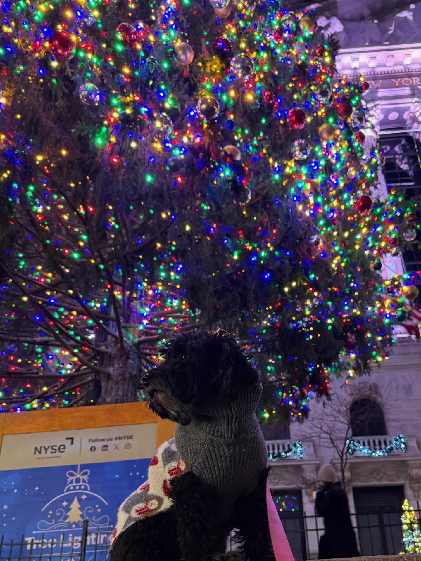 Itβs the holiday season!!