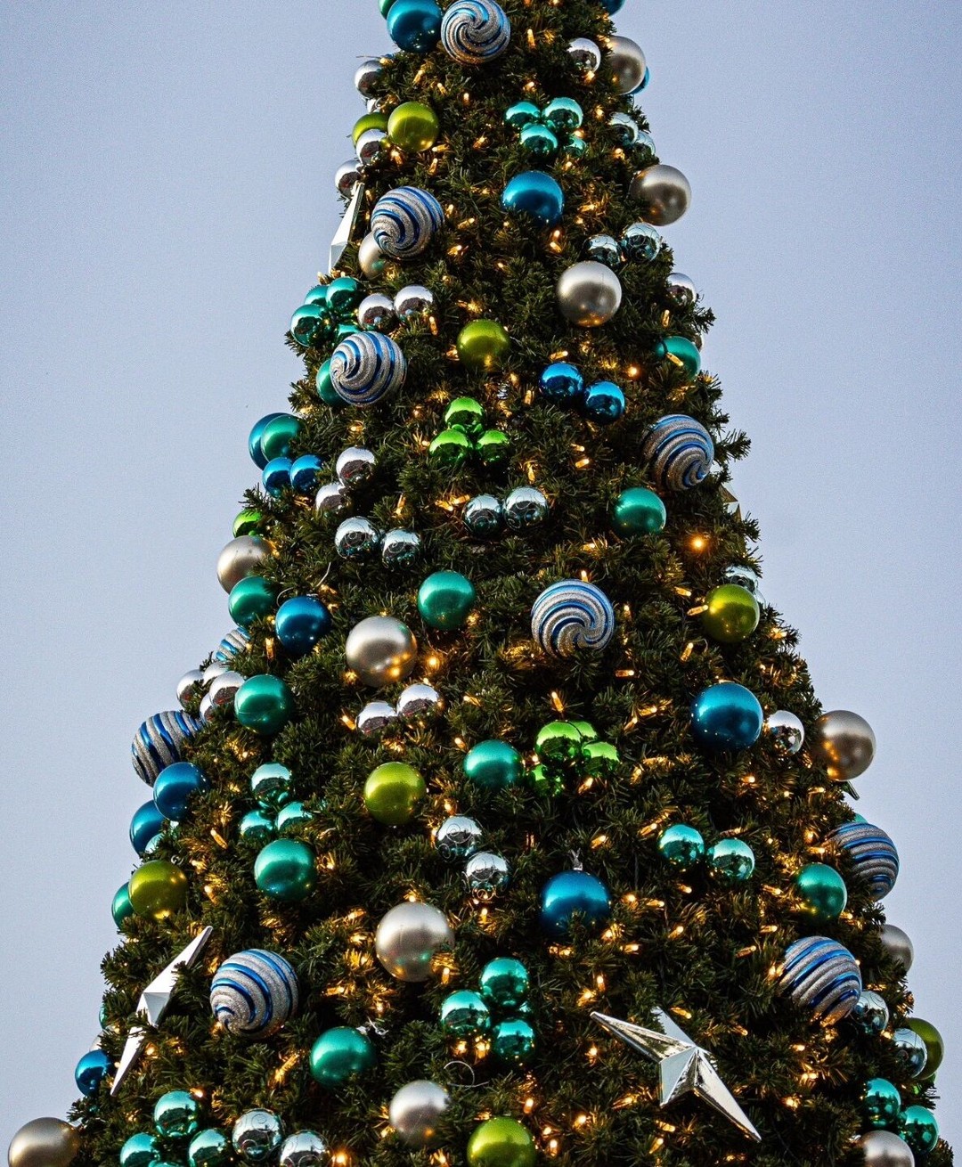 GET EXCITED!
Carols by Candlelight is happening next week. Be sure to mark it on your calendar, and, you know, it doesn't hurt to pray for some good weather right?
๐ถ๐ต It's Chriiiistmaaaas! ๐ถ ๐ต