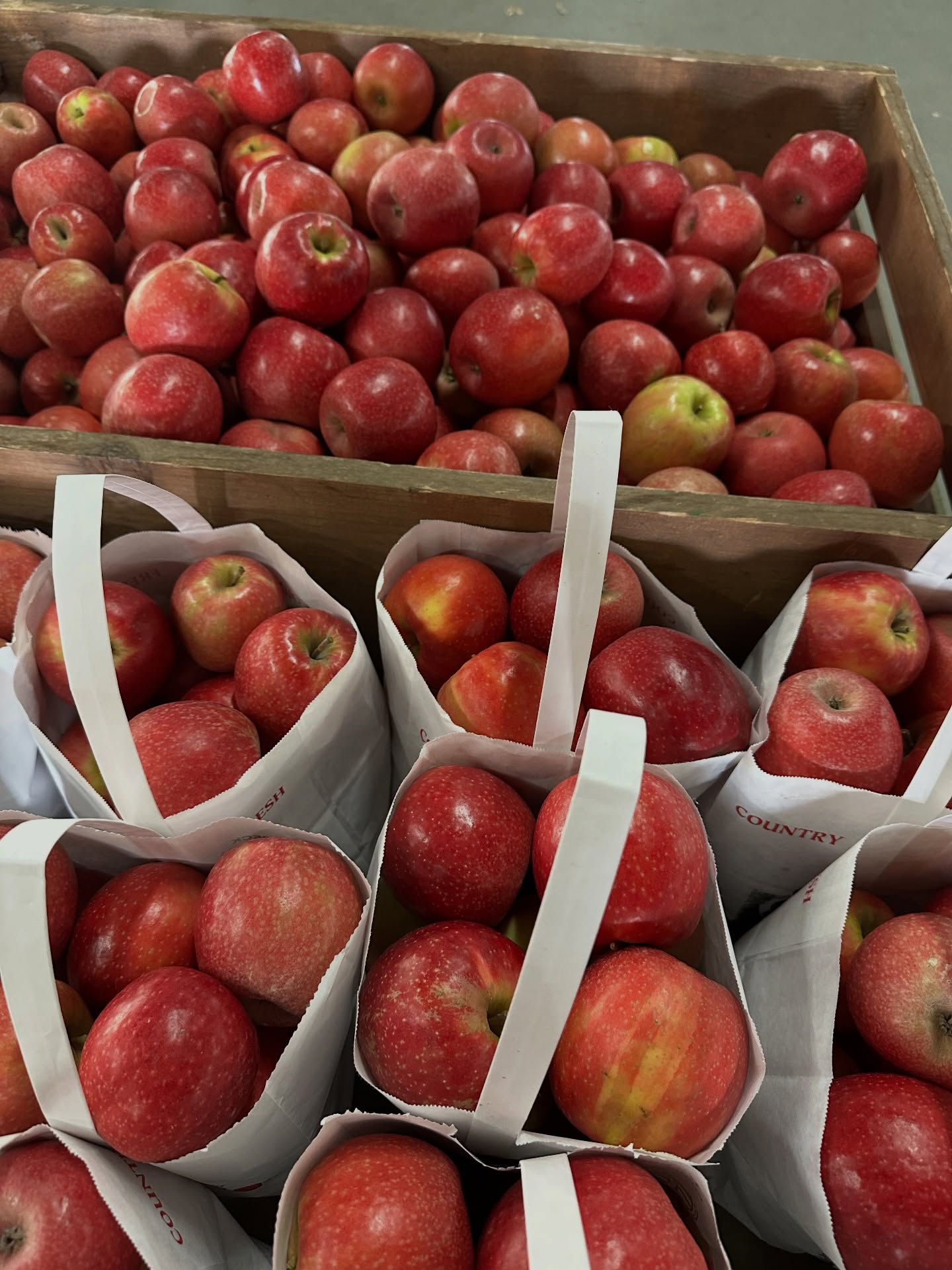 ๐โจ Itโs the last week of our 2025 season! โจ๐
Out-of-town guests? Craving your favorite orchard treats before we close until 2026? Nowโs the time! Weโre open daily 9โ5 through Sunday, 11/30. Closed Thanksgiving Day. ๐ฆ
Swing by and enjoy the seasonโs final days! ๐๐๐