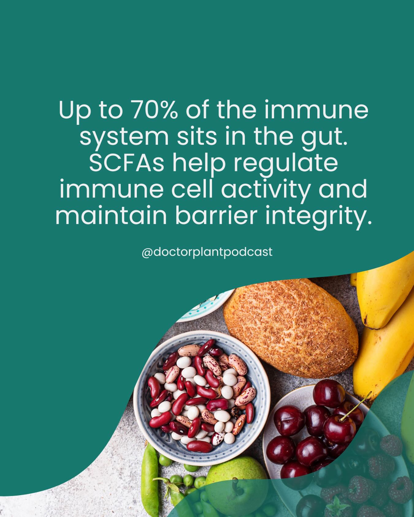 Protein isn’t the whole story for well-balanced nutrition. Fiber is foundational for immune health, gut integrity, and overall resilience, yet most of us are falling far short of what our bodies need.
Our newest Substack post breaks down simple, sustainable ways to increase fiber without overhauling your routine, from meal-building strategies to effortless swaps.
#PlantPoweredPhysicians #FiberFirst #GutHealth #PlantForward #NutritionScience #DailyFiber #EvidenceBasedEating