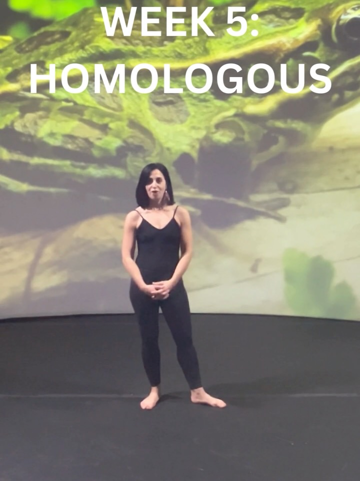 Week 4 of our 6-week Evolutionary Movement Series. This week we'll be looking at homologous movement! πΈ