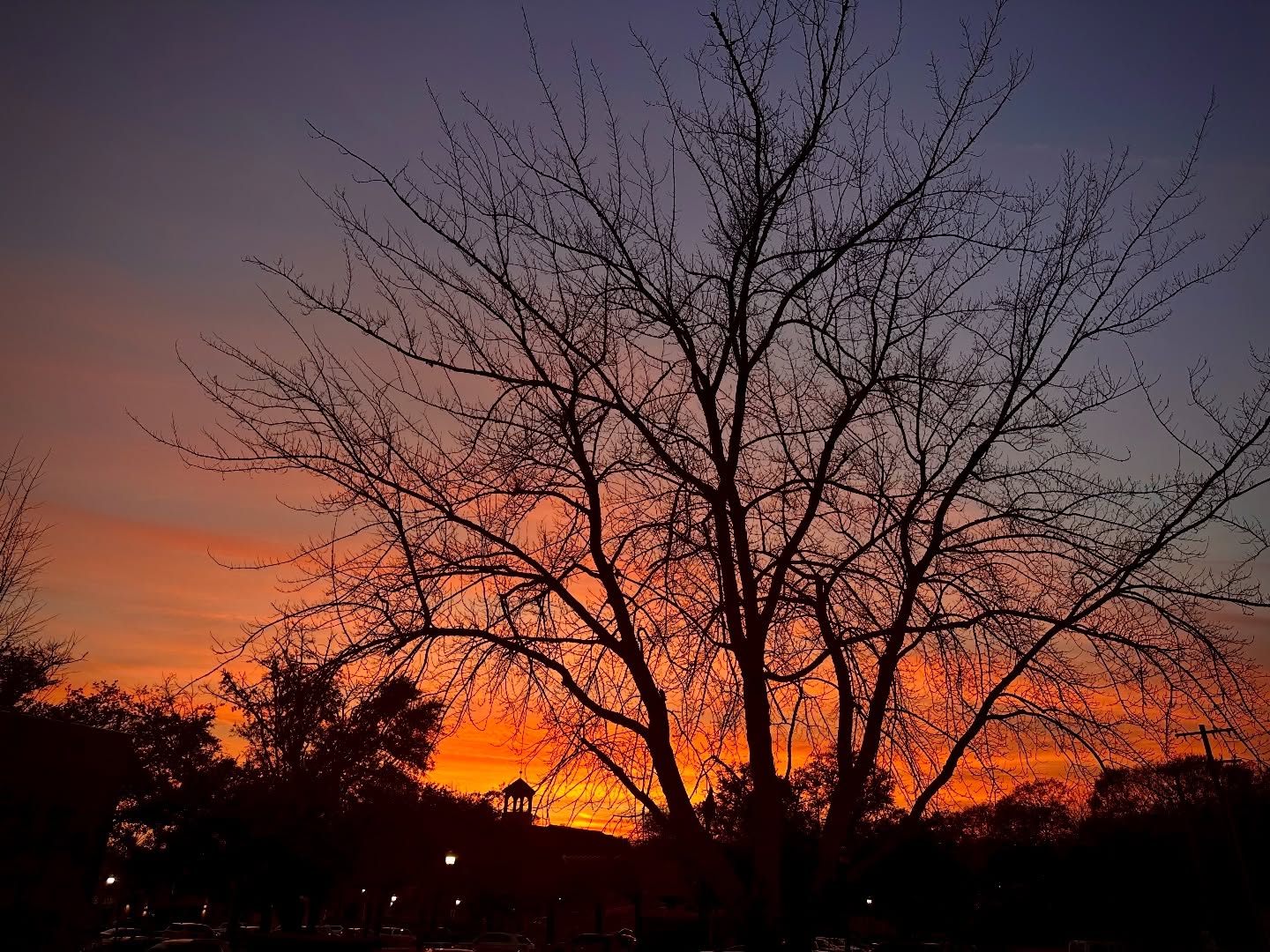 Gratitude looks a lot like this sunset—quiet, beautiful, and full of warmth.
This Thanksgiving, we’re especially thankful for you, our Halcyon family.
Thank you for trusting us, supporting us, and making our little salon feel like home.
🧡🍁
#halcyonfamily #halcyonsalonshelby #halcyonite #grateful #thankful