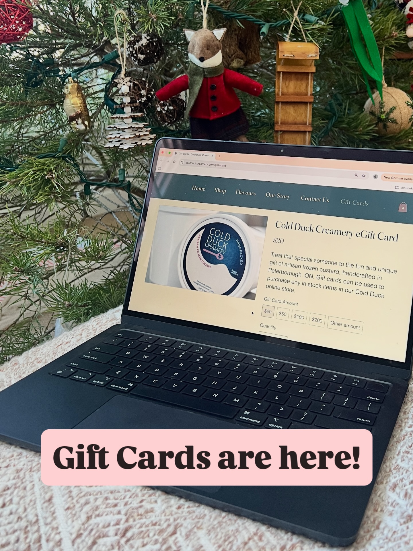 e-gift Cards to our online store are now available! A fun and fresh Secret Santa gift or stocking stuffer. 🎄Find them on our website. Link in bio. #shoplocal #ptbolocal #ptbomakers #ptbo #kawarthas #giftideas