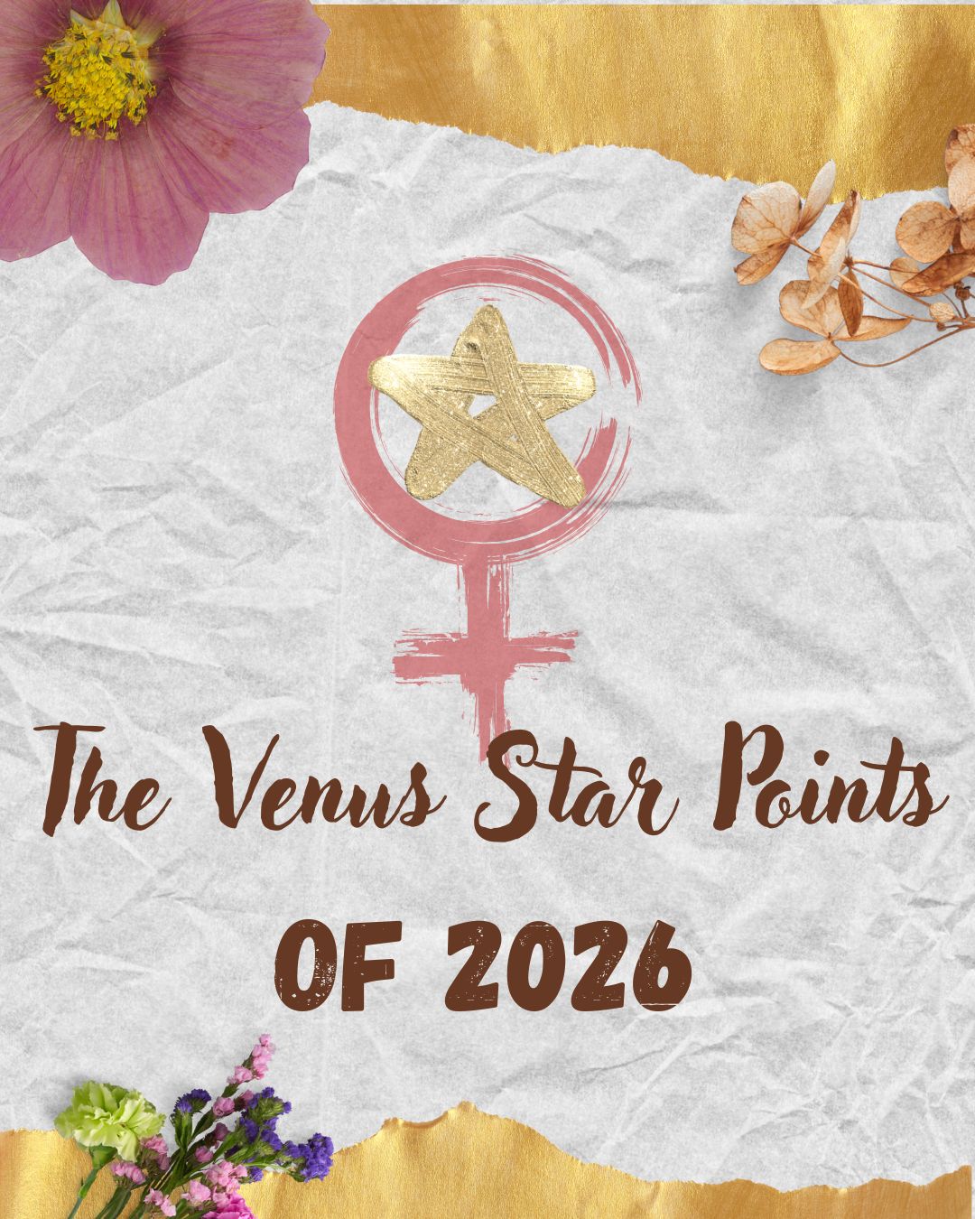 A Cosmic Heart Activation is Coming…
Every 8 years, Venus draws a perfect five-petaled star in the sky, a sacred pattern of love, desire, creativity & connection.
In 2026, Venus activates two powerful star points:
💎 Jan 6 - 16° Capricorn
💎 Oct 23 - 0° Scorpio (Retrograde)
These are heart portals, turning points for love, relationships, finances and personal power.
Join me for a special talk to discover what these activations mean for you, your relationships & the world.
📅 Saturday, Dec 13
⏰ 4pm PT / 7pm ET
📍 Online - Recording included
💞 Donation-based | 50% to @careorg
The Venus Star Points teach us about the wisdom of the heart and the power within, and in that spirit, 50% of all proceeds will be donated to CARE.org, a global humanitarian organization championing women’s empowerment, access to education, food security and economic justice for vulnerable communities
📩 To register: send any donation via Zelle / Venmo / PayPal (details in bio)
#astrology #astrologypost #astrologysigns #astrologyposts #astrologyreadings #astrology101 #astrologyanswers #astrologydaily #astrologyinsights #astrologyreport #astrologyforthesoul #astrologytoday #astrology2025 #astrology2026 #venus #sun #venusstarpoint #capricorn #scorpio #heart #spirituality