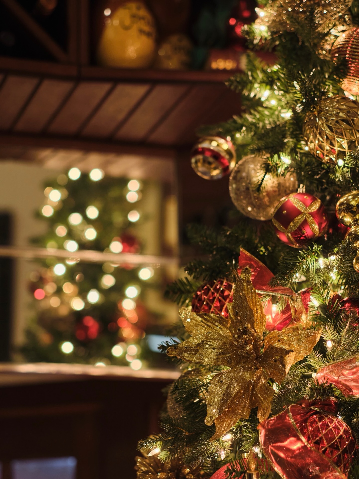 The warmth of the holidays, the comfort of authentic Cuban food. Join us for dinner tonight at Havana. ✨🎄🇨🇺 #havanacubnfood