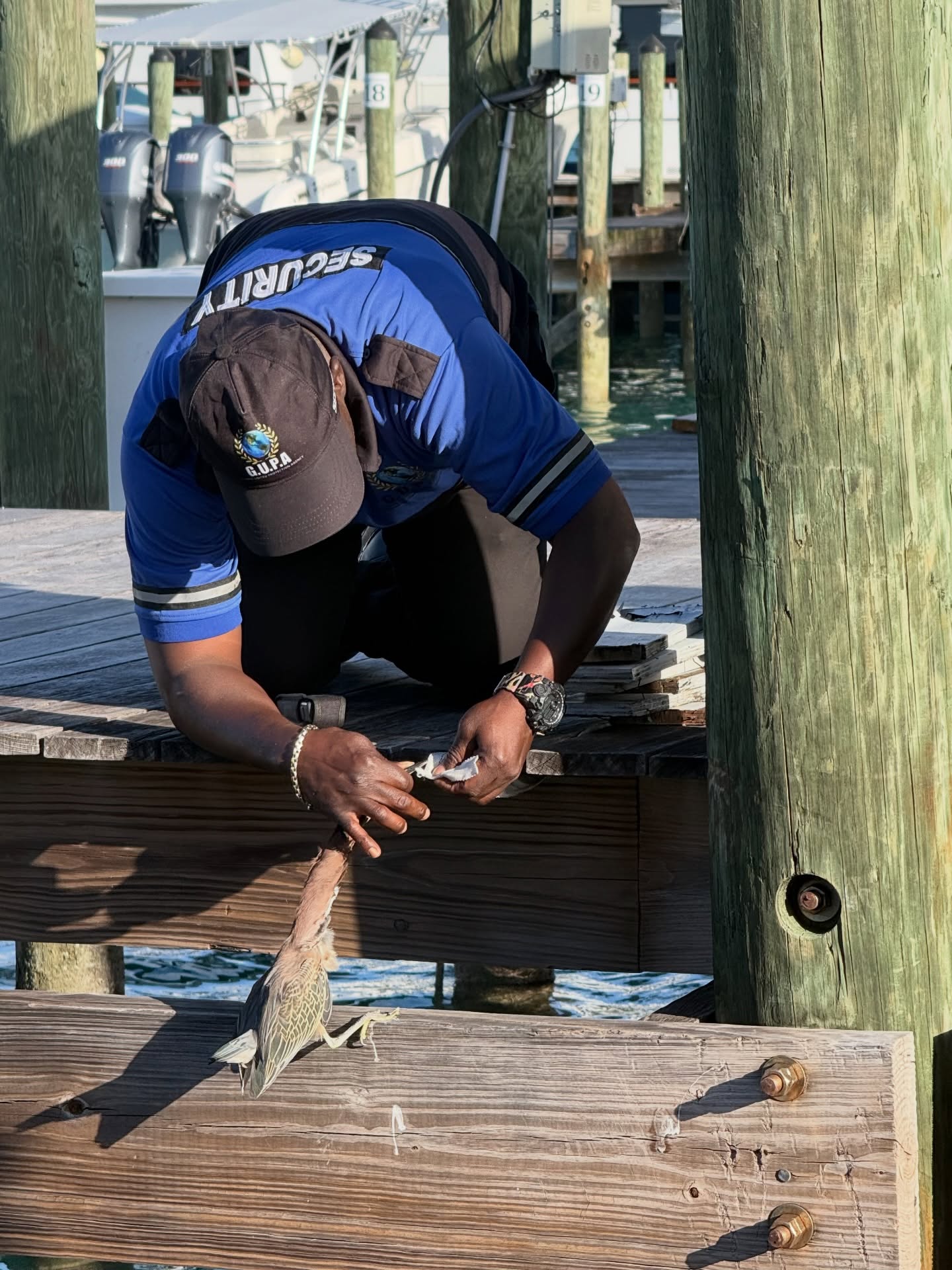 At Bay Street Marina, our security team does more than keep the docks safe, they look out for every life that calls this place home.
A small act of kindness that made a big difference today. 🐦💛
#BayStreetMarina #CompassionInAction”