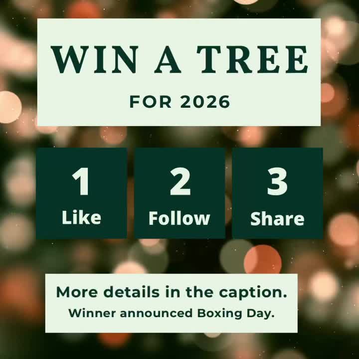 🎄✨ IT’S DECEMBER 1ST - AND THAT MEANS… OUR BEST DECORATED TREE COMPETITION IS BACK! ✨🎄
We’re officially in the festive season, and with Christmas getting closer by the day, it’s time to show off your beautifully decorated trees!
Think yours could be this year’s winner? Enter now for the chance to WIN a FREE Christmas tree! 🌟
Swipe to see last year’s winner, Victoria, who came to collect her tree at the weekend 🎄
this could be you this time next year!!
⸻
How to Enter:
- Like this post
- Follow us on Facebook and Instagram Norfolk Christmas Trees
- Tag us in your decorated tree photos
The winner will be chosen for creativity, festive flair, and overall Christmas magic. ✨
📅 Winner announced: 26th December 2025 at 6pm
⸻
Terms & Conditions:
- Prize: one free Christmas tree up to 175/200cm, to be claimed between 20th November and 18th December 2026.
- Entries accepted until 8pm on 25th December 2025.
- Open to UK residents only.
- Prize is non-transferable and cannot be exchanged for cash or alternative products.
- By entering, you agree that we may share your submitted photos on our social media channels for promotional purposes.
- The winner will be contacted via DM. If no reply is received within 7 days, another winner may be chosen.
- This competition is not sponsored, endorsed, or administered by Instagram or Facebook.
⸻
✨ Don’t miss your chance to show off your festive masterpiece - get tagging!
We can’t wait to see your magical trees! 🎅🎁🌟
#NorfolkChristmasTrees #BestDecoratedTree #ChristmasTreeCompetition #NorfolkChristmas #Christmas2025 #FestiveFun #ShowUsYourTree #TreeDecorating #ChristmasTraditions #UKChristmas #CompetitionTime
