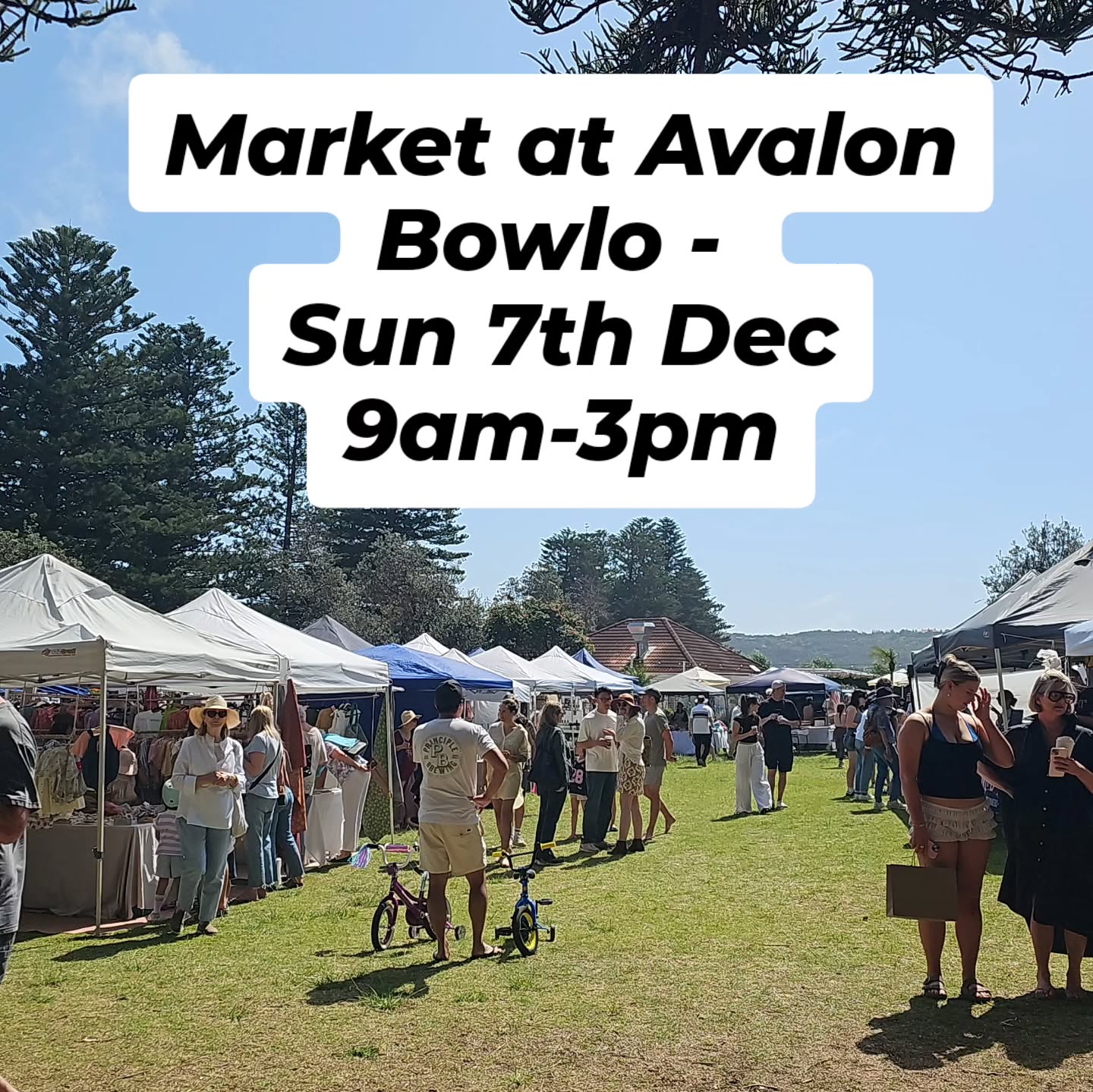 Makers, Creators & Collaborators Market at @avalonbowlo
Sun 7th Dec
9am-3pm
Come along ro @the_deep_north festival and check out the market.