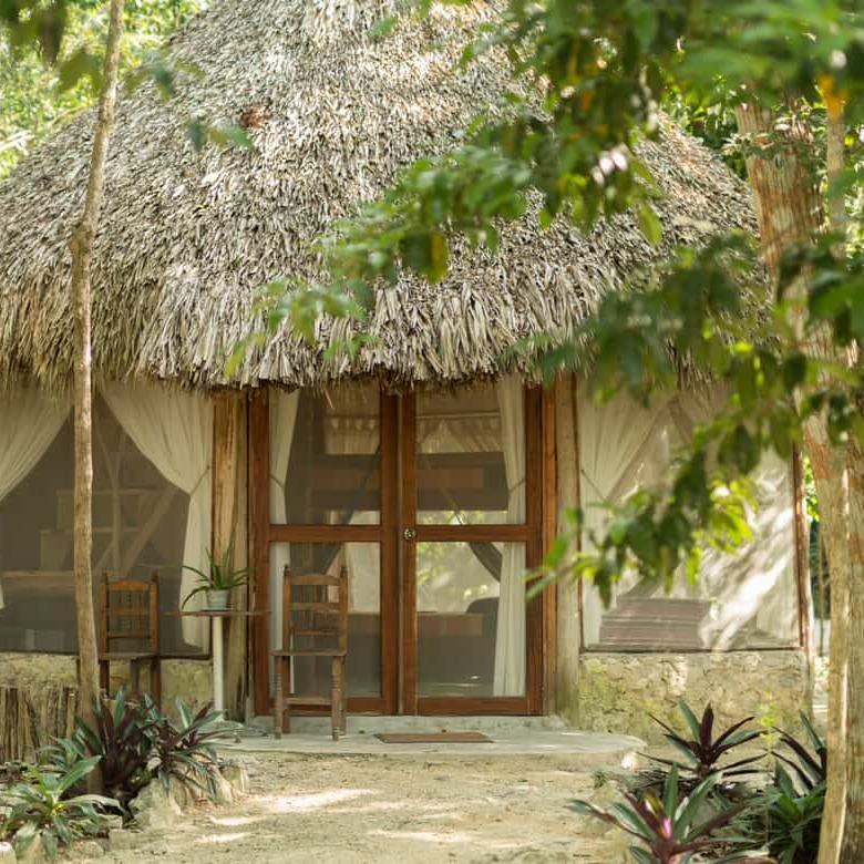 A perfect nest for birdwatchers.
As a birdwatching guide, I often receive questions about the best places to stay while exploring our local birding hotspots. It’s essential to choose accommodation that reflects our shared values of responsible tourism, conservation, sustainability, and that promotes a healthy community and happy travelers.
@melimelotulum is one of those special spots. Nestled in the jungle, thoughtfully designed, and deeply committed to low-impact, eco-friendly practices. It’s a peaceful retreat where nature leads the experience.
Meli-Melo is also a small paradise for bird lovers: mornings filled with birdsong, resident species fluttering through the gardens, and quick access to nearby hotspots. It’s the kind of place where you can spot your first birds of the day before you even leave the property.
Choosing stays makes your birdwatching journey even more meaningful.
#Birdwatching #birdconservation #birdwatchingmexico #birdwatchingtours #birdsofyucatan #birdsoftulum #melimelotulum #junglelodge #yucatanbirds #birdwatchingtulum #tulum #responsibletourism #ecofriendly #accomodationtulum