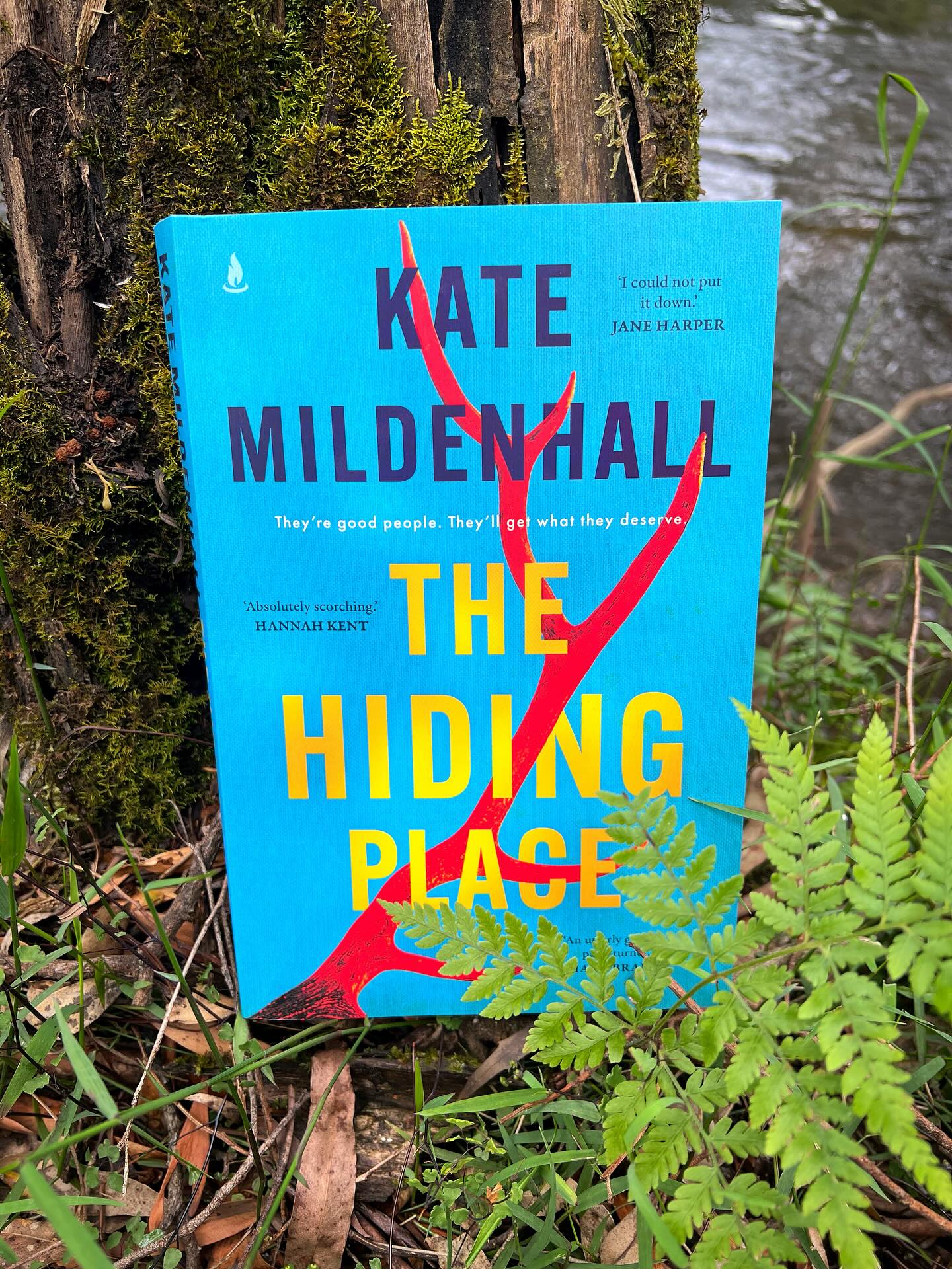 Unfortunately I can’t make the event with @kmildenhall this weekend in Meenyian for @nicestack The wonderful @toni_jordan_writer has stepped in, but I still want my chance to rave about THE HIDING PLACE.
This book is effing FANTASTIC! It’s so many ‘ives’- propulsive, incisive, perceptive, explosive! People are giving Kate her flowers for her ability to cross genres, but I reckon she deserves the whole bloody florist. It’s not simply that THE HIDING PLACE has a perfect crime plot, when her previous plots were perfect for their vastly different genres (speculative epic, sci-fi roadtrip thriller, historical fiction). It’s that in each case she captures the tones and rhythms that elevate the best books in those genres, while keeping stylistic touches that mark them as authentic Mildenhalls.
The Hiding Place has her economy of characterisation, nuanced humans, and subtle exploration of relationships/politics/sex/gender/etc. It also uses the perspective-swapping perfected in The Hummingbird Effect, shifting between multiple characters of different ages and views, all fully developed, without ever feeling too busy. The dynamics between them are complex and well-explored, and the initial setup of four city families going camping on a bush block they’ve pooled money to buy would have been enough to sustain a novel. Chuck a dead body in, and things crank to a whole new level. It’s a brilliant conceit and will have you turning pages so fast, you’ll think you’re in a wind tunnel.
This book does that thing I love most in crime fiction, using the crime to explore moral quagmires and expose deeper character stuff. But it also offers so many other elements: suspense, mystery, messy characters, wicked wit, setting as character and social commentary. You could happily read it as delicious well-plotted page-turner OR razor-sharp satirical character study OR engage with its themes of privilege, ownership, performative politics and public vs private morality. That’s all a long-winded way of saying it’d make a perfect Christmas gift, whether the giftee is super bookish or looking for a beach/campfire read to accompany a glass of not-too-sweet pinot gris!
@simonschusterau